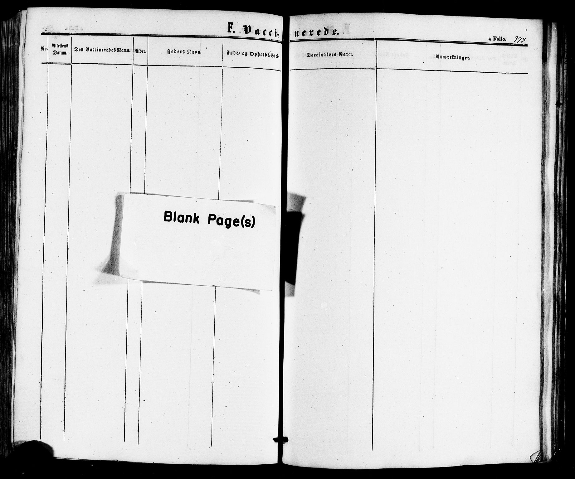 Ministerialprotokoller, klokkerbøker og fødselsregistre - Nordland, AV/SAT-A-1459/817/L0262: Parish register (official) no. 817A03/ 1, 1862-1877, p. 373