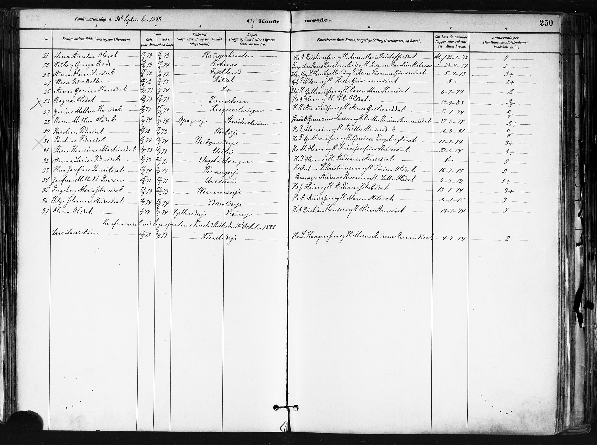 Nes prestekontor Kirkebøker, AV/SAO-A-10410/F/Fa/L0010: Parish register (official) no. I 10, 1883-1898, p. 250