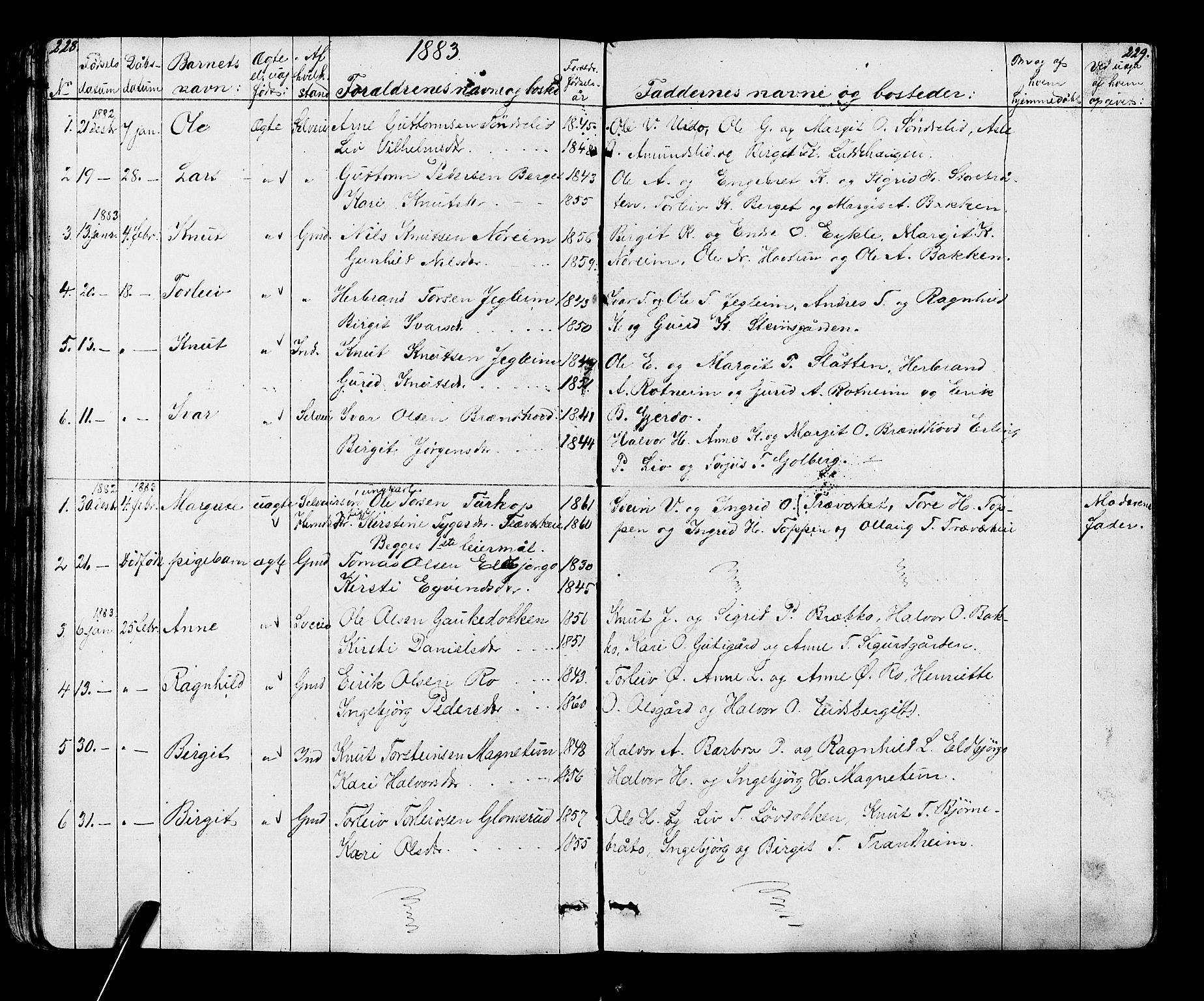 Gol kirkebøker, AV/SAKO-A-226/G/Ga/L0002: Parish register (copy) no. I 2, 1860-1887, p. 228-229