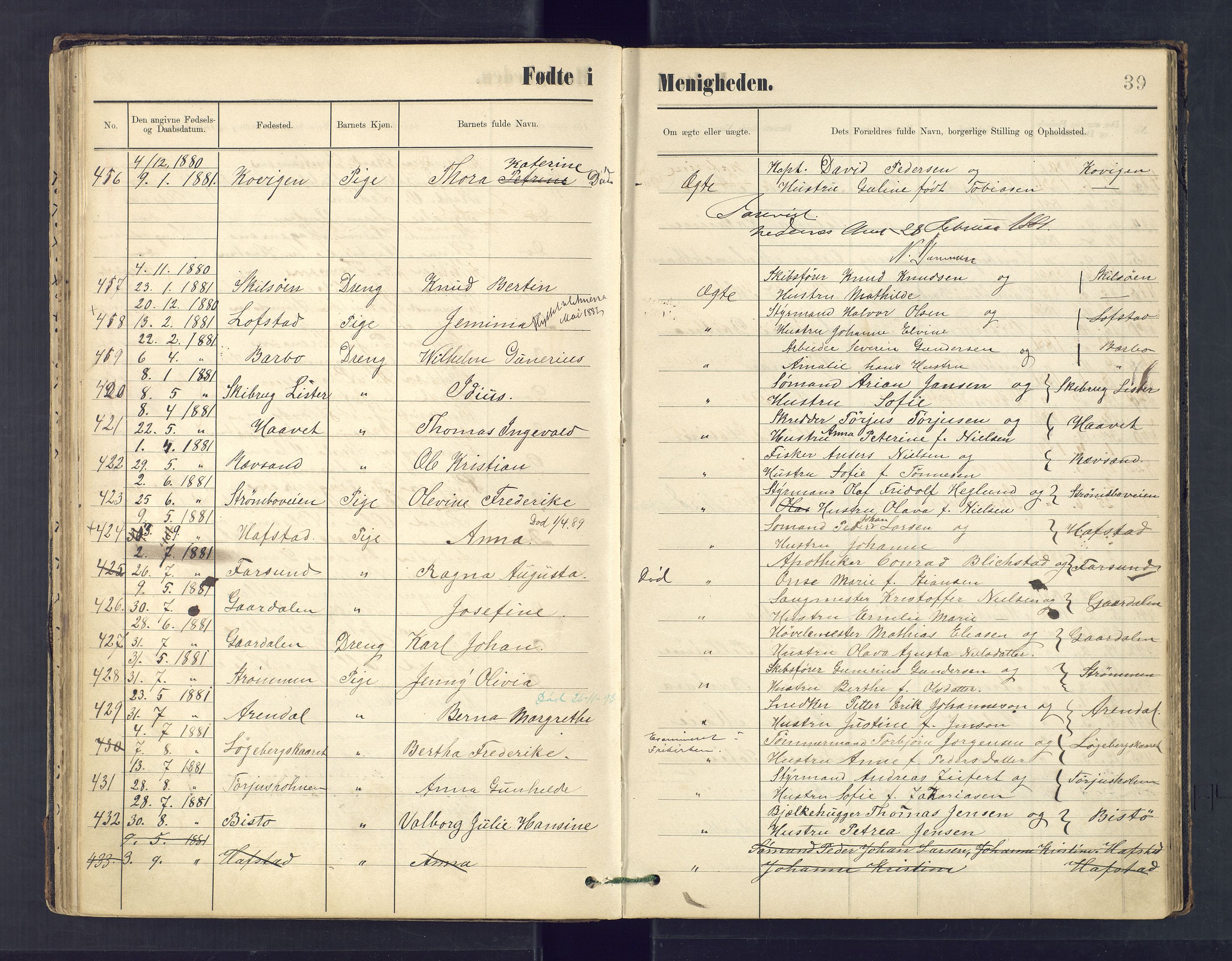 Metodistmenigheten, Arendal, AV/SAK-1292-0011/F/Fa/L0003: Dissenter register no. 3, 1879-1893, p. 39