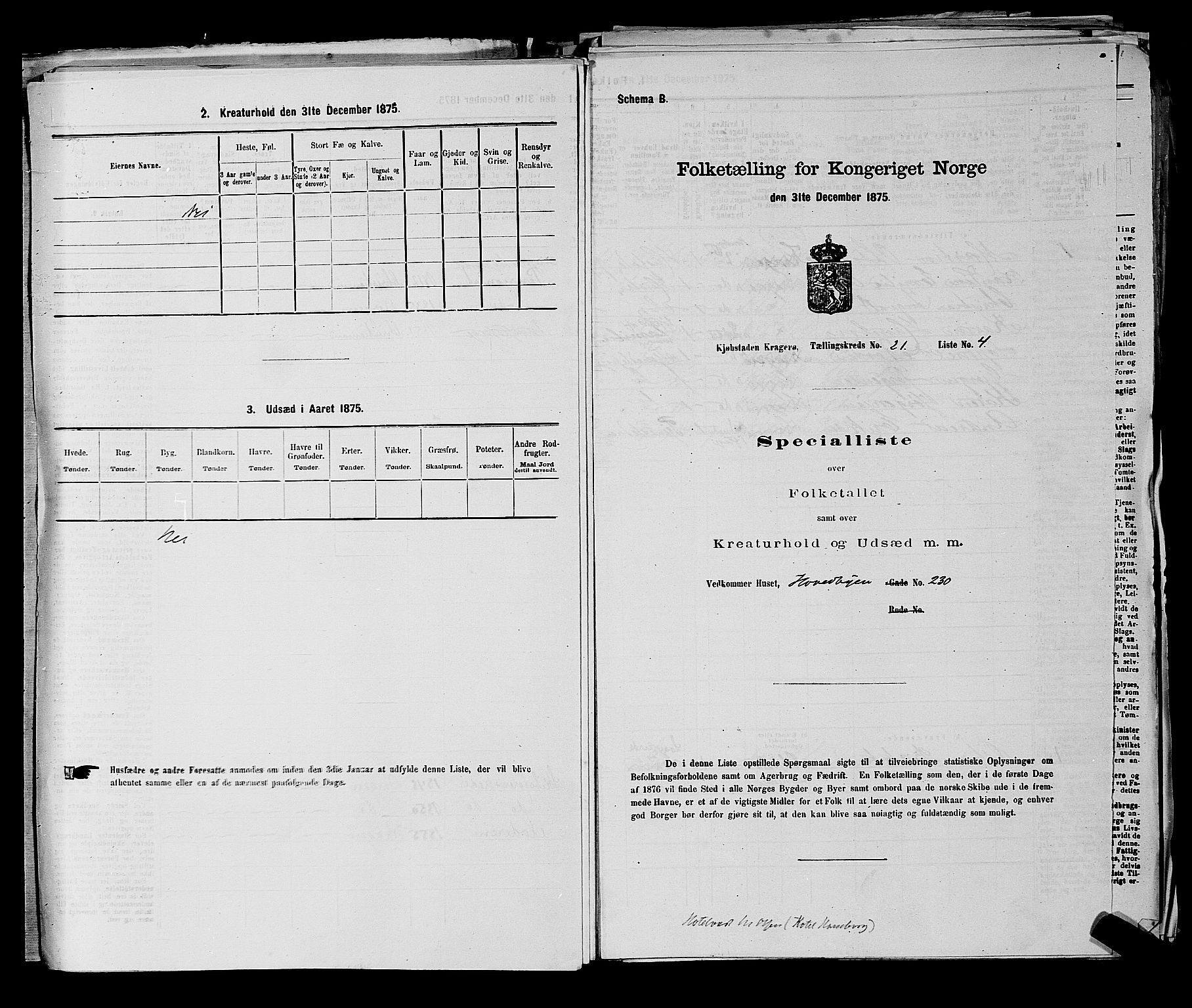 SAKO, 1875 census for 0801P Kragerø, 1875, p. 453