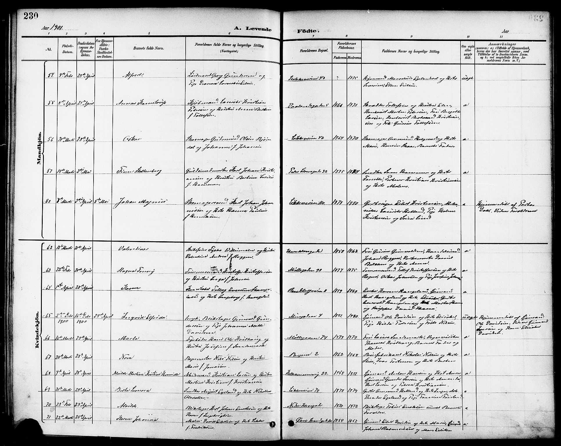 Domkirken sokneprestkontor, AV/SAST-A-101812/001/30/30BB/L0016: Parish register (copy) no. B 16, 1891-1902, p. 230