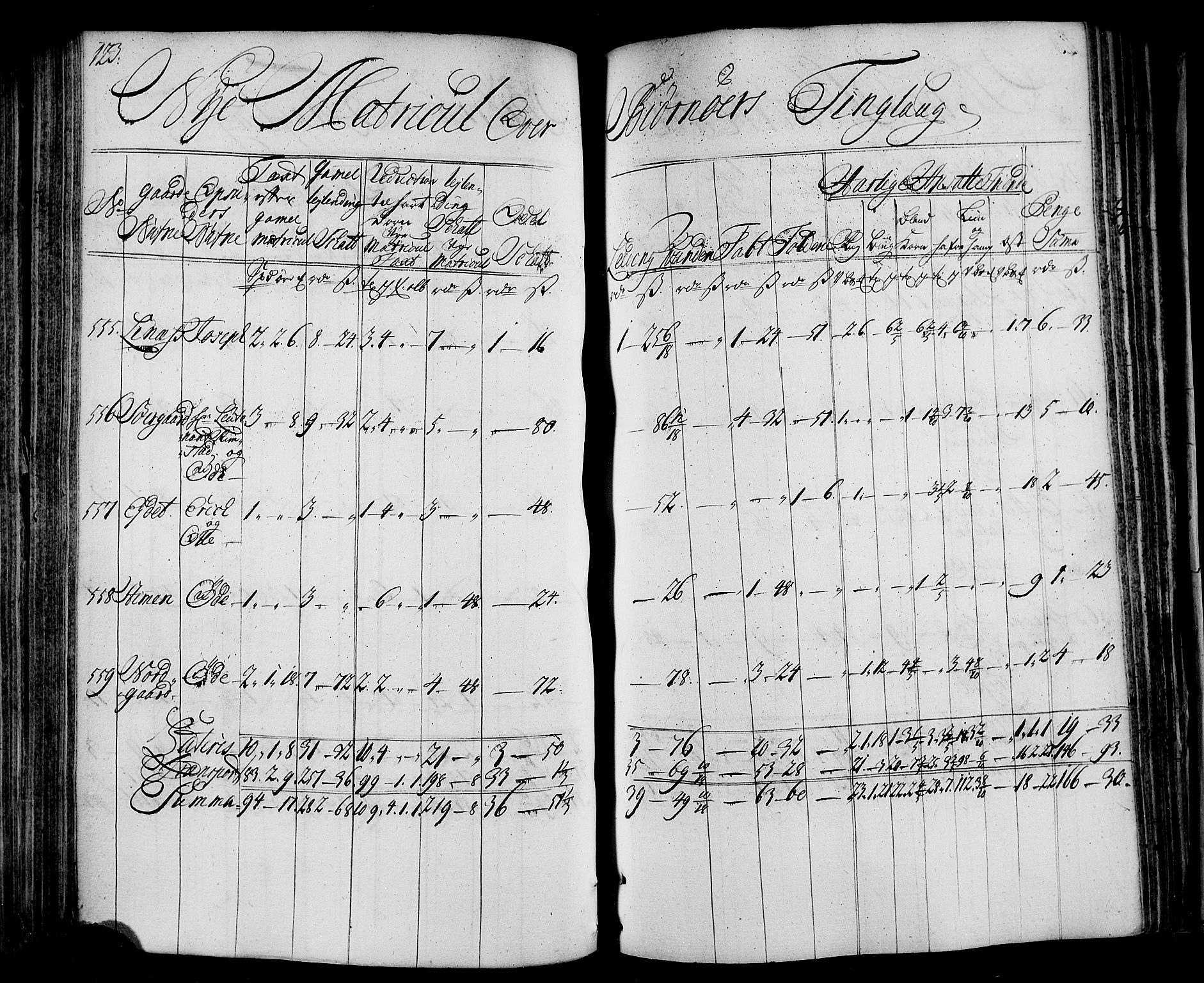 Rentekammeret inntil 1814, Realistisk ordnet avdeling, AV/RA-EA-4070/N/Nb/Nbf/L0163: Fosen matrikkelprotokoll, 1723, p. 124