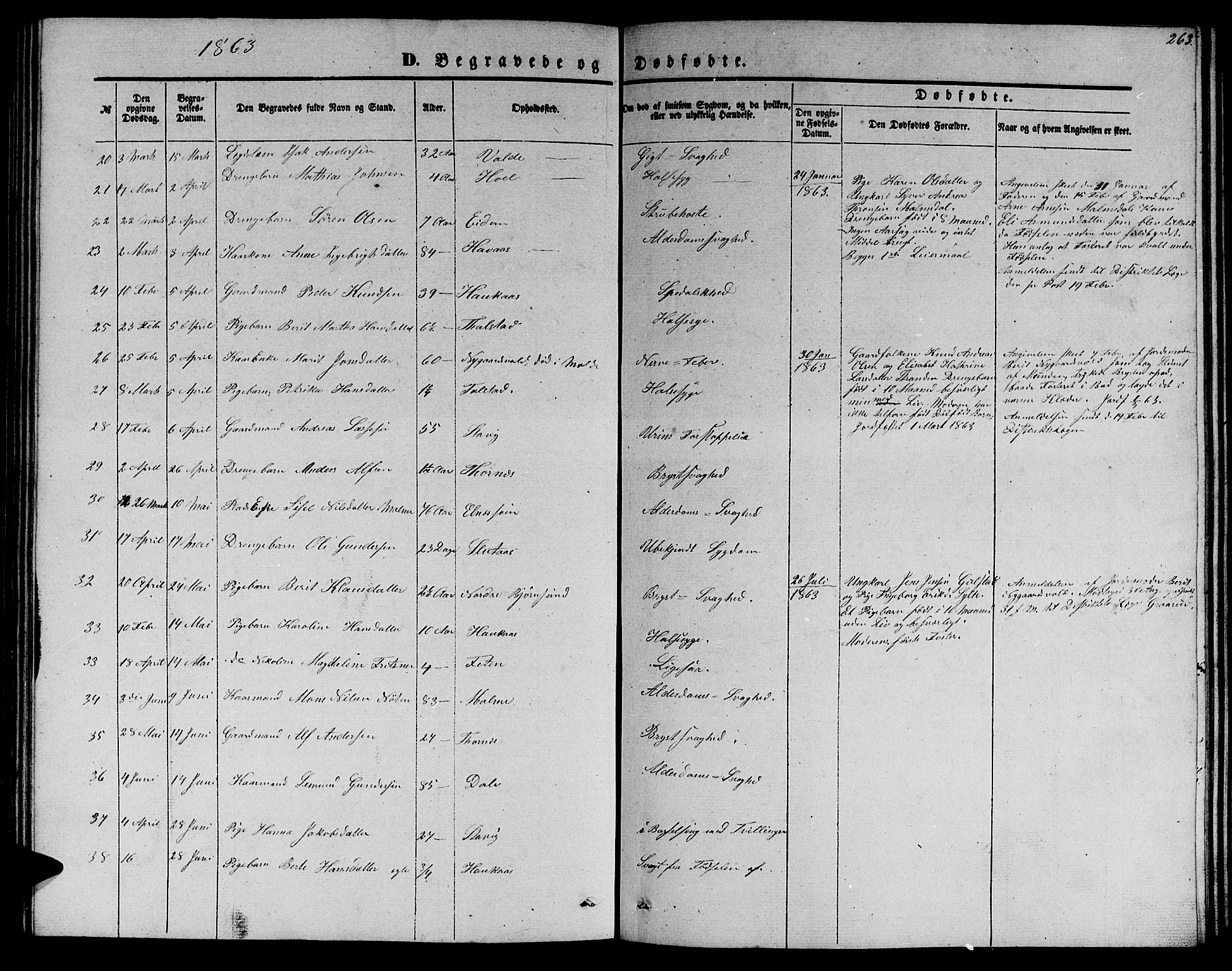 Ministerialprotokoller, klokkerbøker og fødselsregistre - Møre og Romsdal, AV/SAT-A-1454/565/L0753: Parish register (copy) no. 565C02, 1845-1870, p. 263