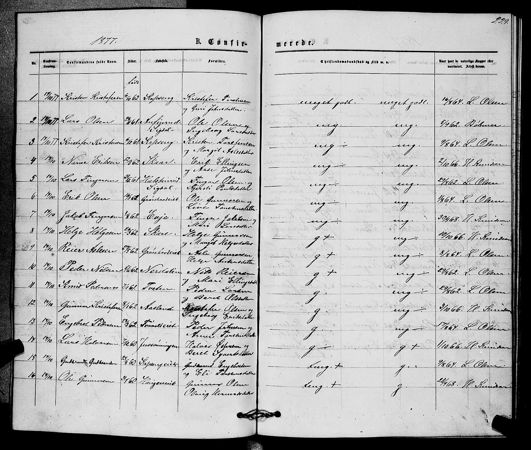 Sigdal kirkebøker, SAKO/A-245/G/Gb/L0002: Parish register (copy) no. II 2, 1875-1900, p. 229