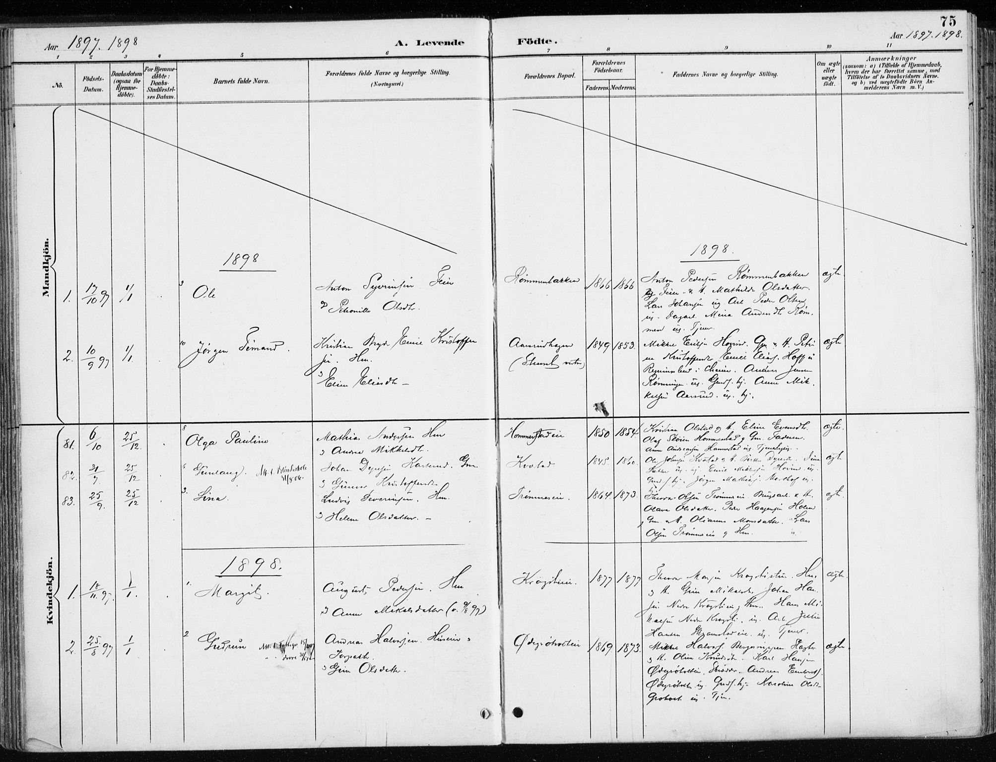 Løten prestekontor, SAH/PREST-022/K/Ka/L0010: Parish register (official) no. 10, 1892-1907, p. 75