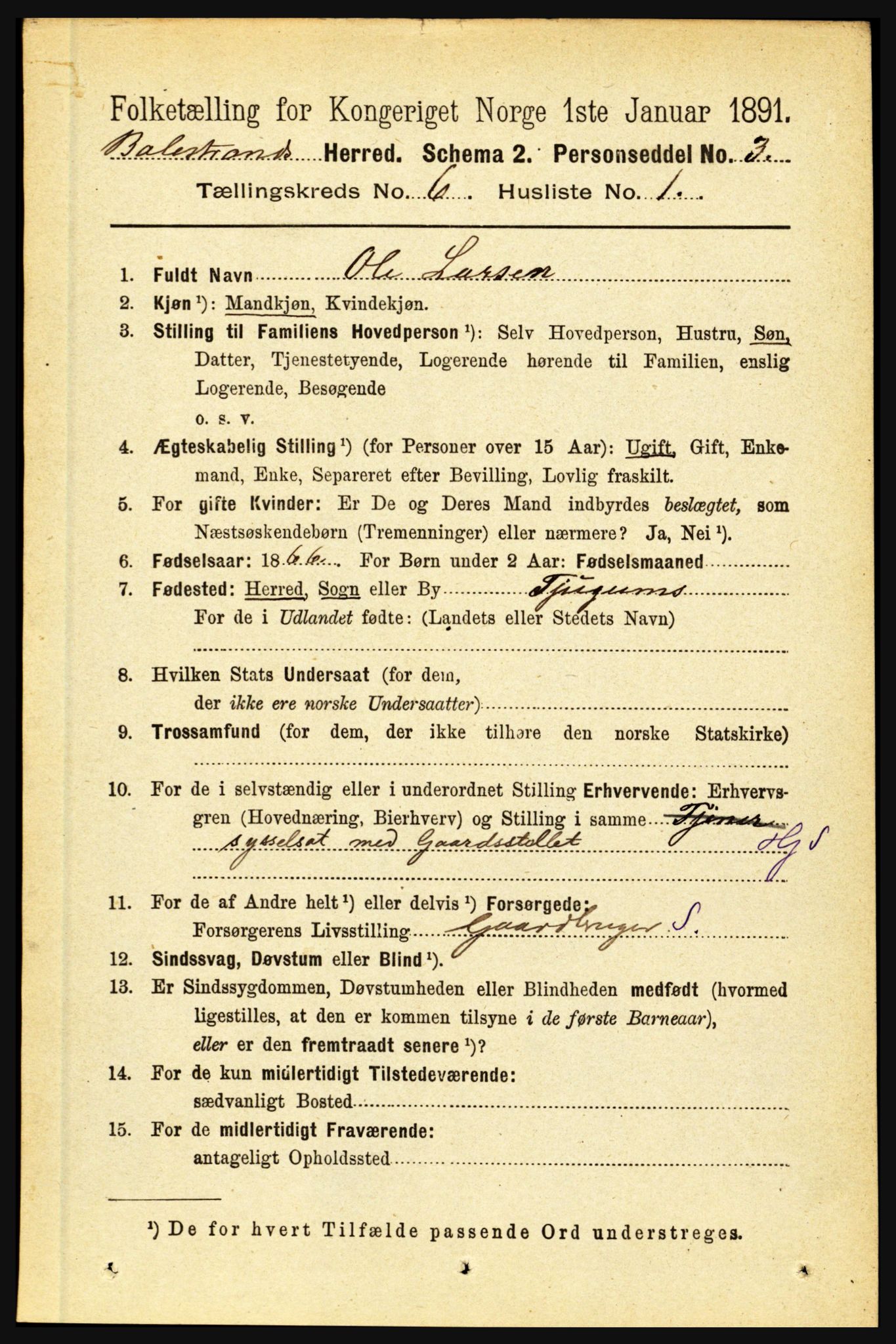 RA, 1891 census for 1418 Balestrand, 1891, p. 1361