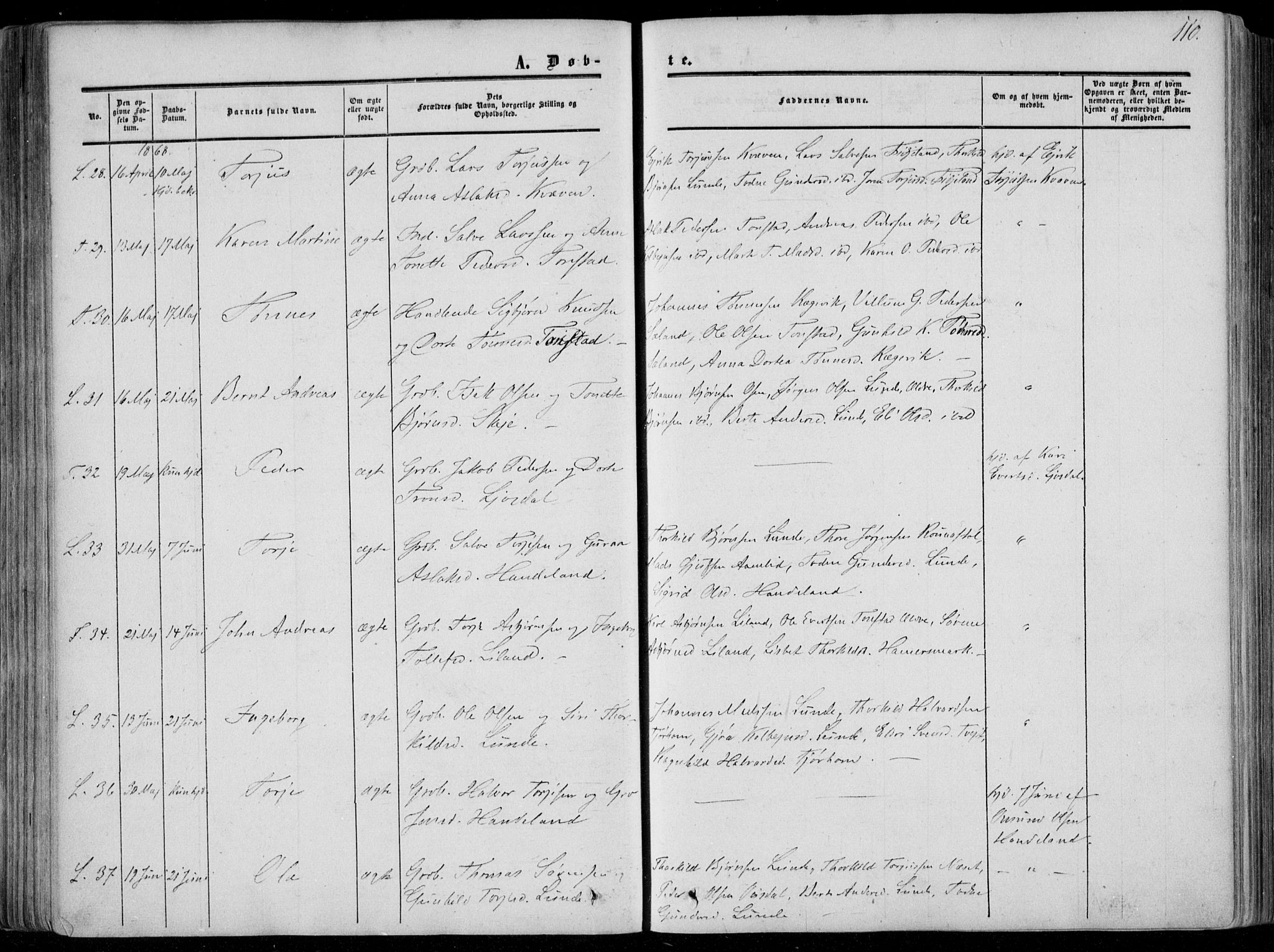 Sirdal sokneprestkontor, AV/SAK-1111-0036/F/Fa/Fab/L0002: Parish register (official) no. A 2, 1855-1874, p. 110