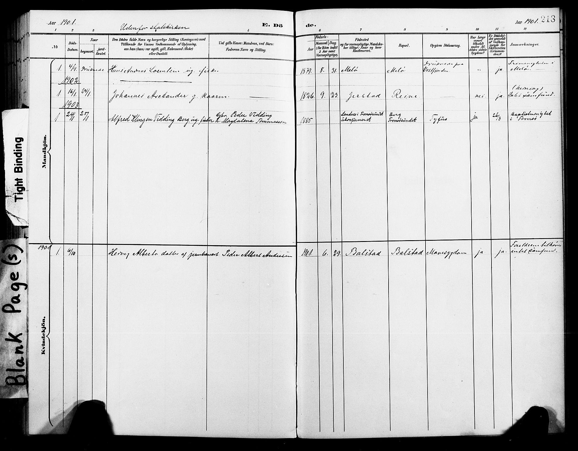 Ministerialprotokoller, klokkerbøker og fødselsregistre - Nordland, AV/SAT-A-1459/881/L1168: Parish register (copy) no. 881C05, 1900-1911, p. 213b