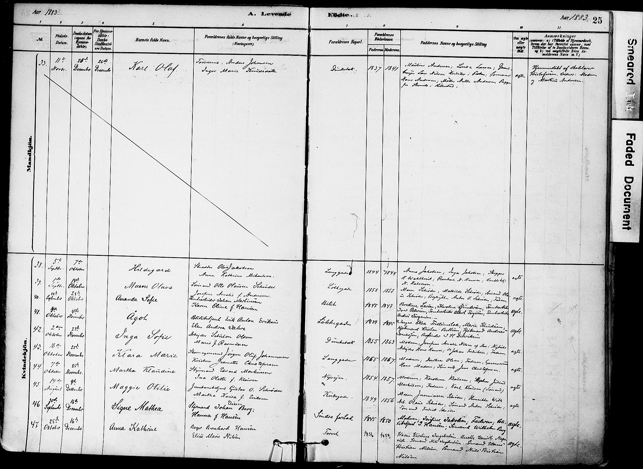 Holmestrand kirkebøker, AV/SAKO-A-346/F/Fa/L0004: Parish register (official) no. 4, 1880-1901, p. 25