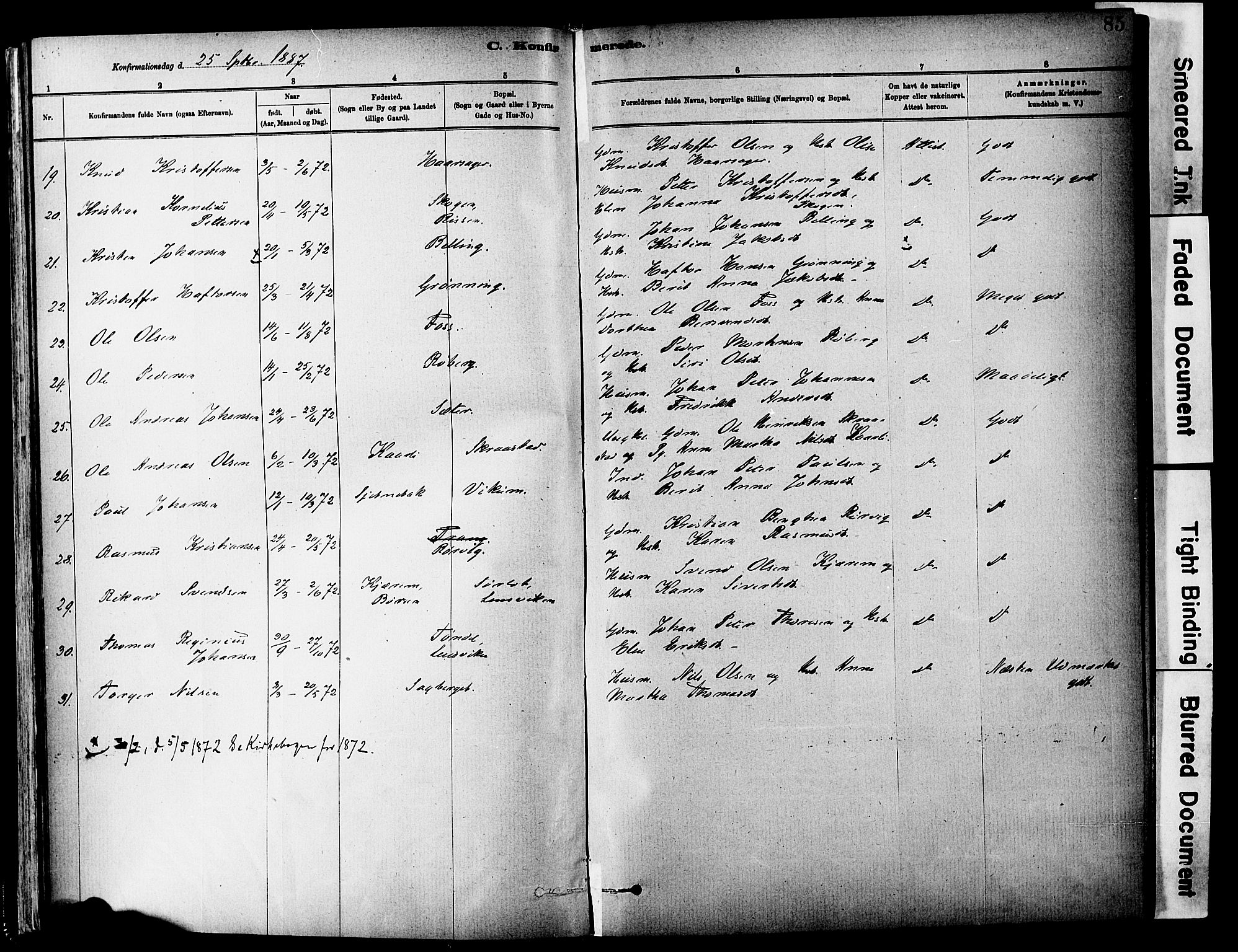 Ministerialprotokoller, klokkerbøker og fødselsregistre - Sør-Trøndelag, AV/SAT-A-1456/646/L0615: Parish register (official) no. 646A13, 1885-1900, p. 85