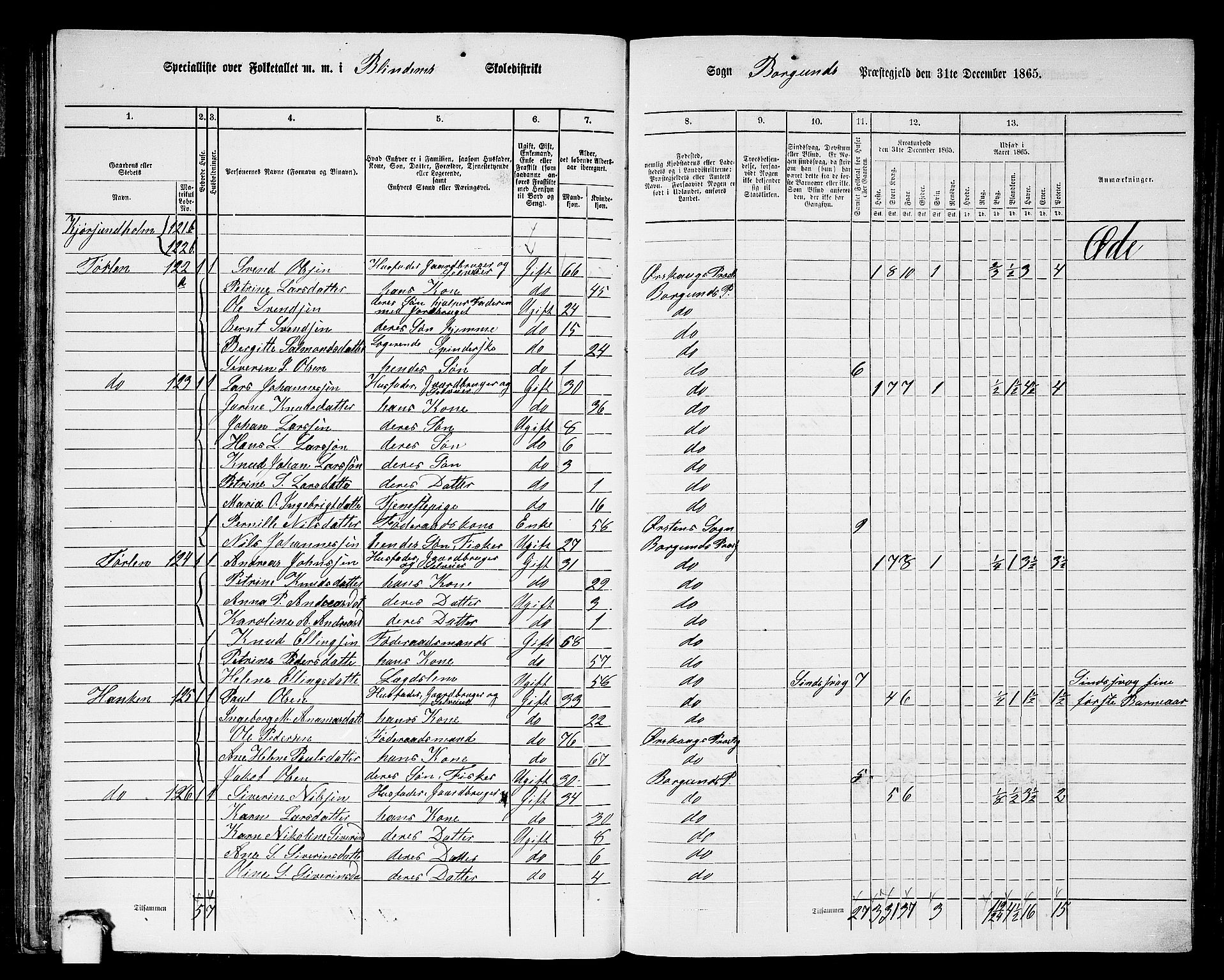 RA, 1865 census for Borgund, 1865, p. 41