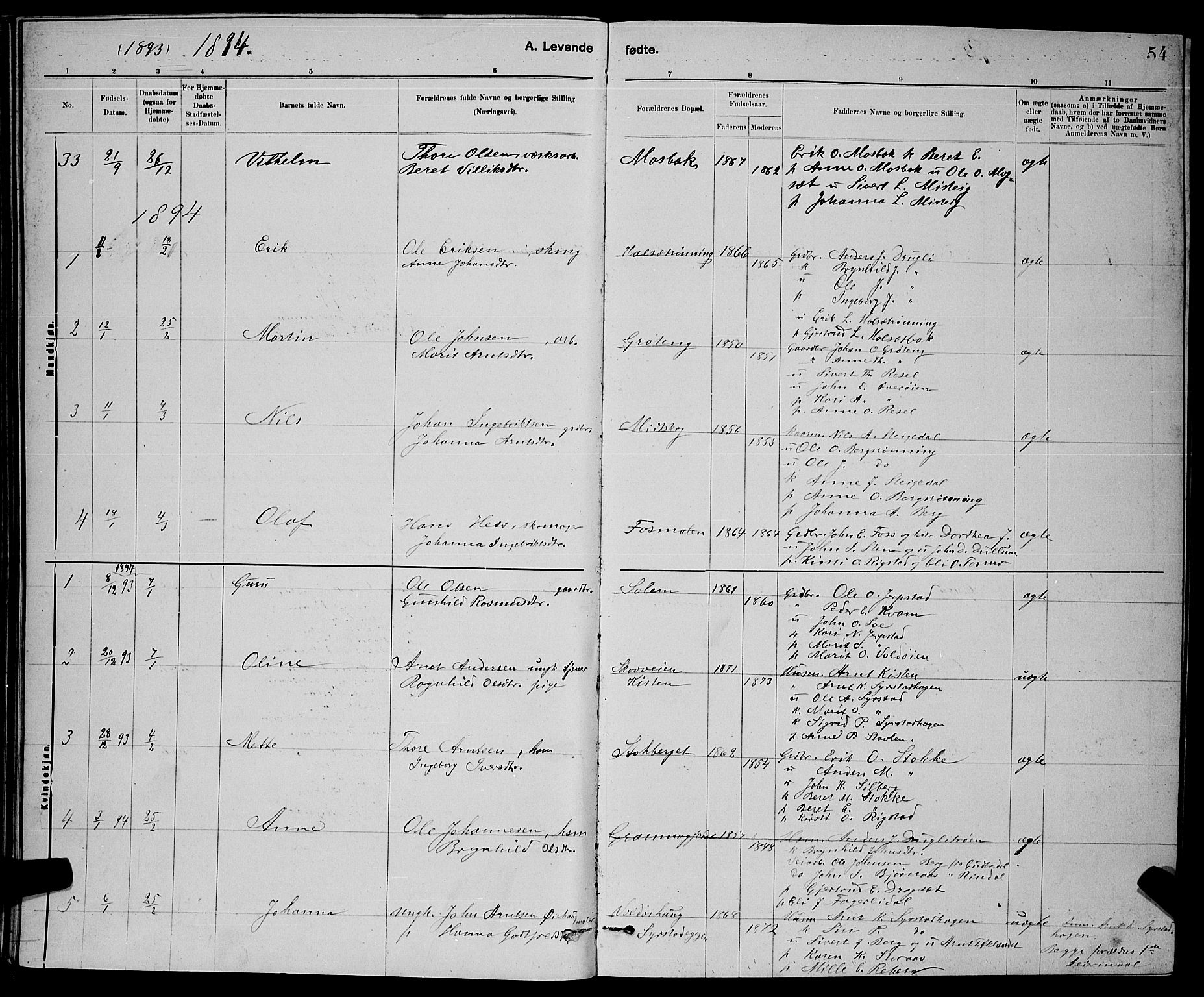 Ministerialprotokoller, klokkerbøker og fødselsregistre - Sør-Trøndelag, SAT/A-1456/672/L0863: Parish register (copy) no. 672C02, 1888-1901, p. 54