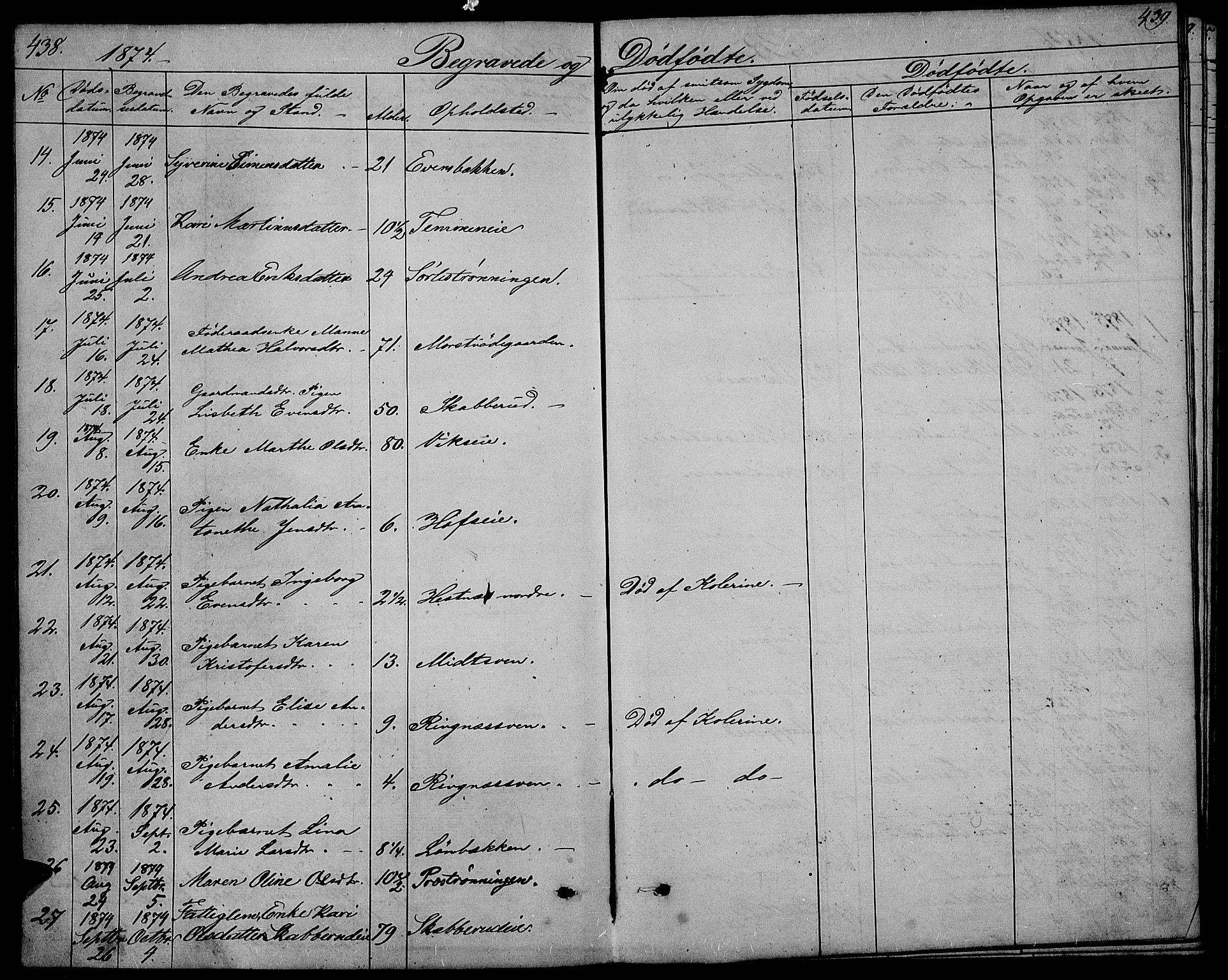 Stange prestekontor, AV/SAH-PREST-002/L/L0005: Parish register (copy) no. 5, 1861-1881, p. 438-439