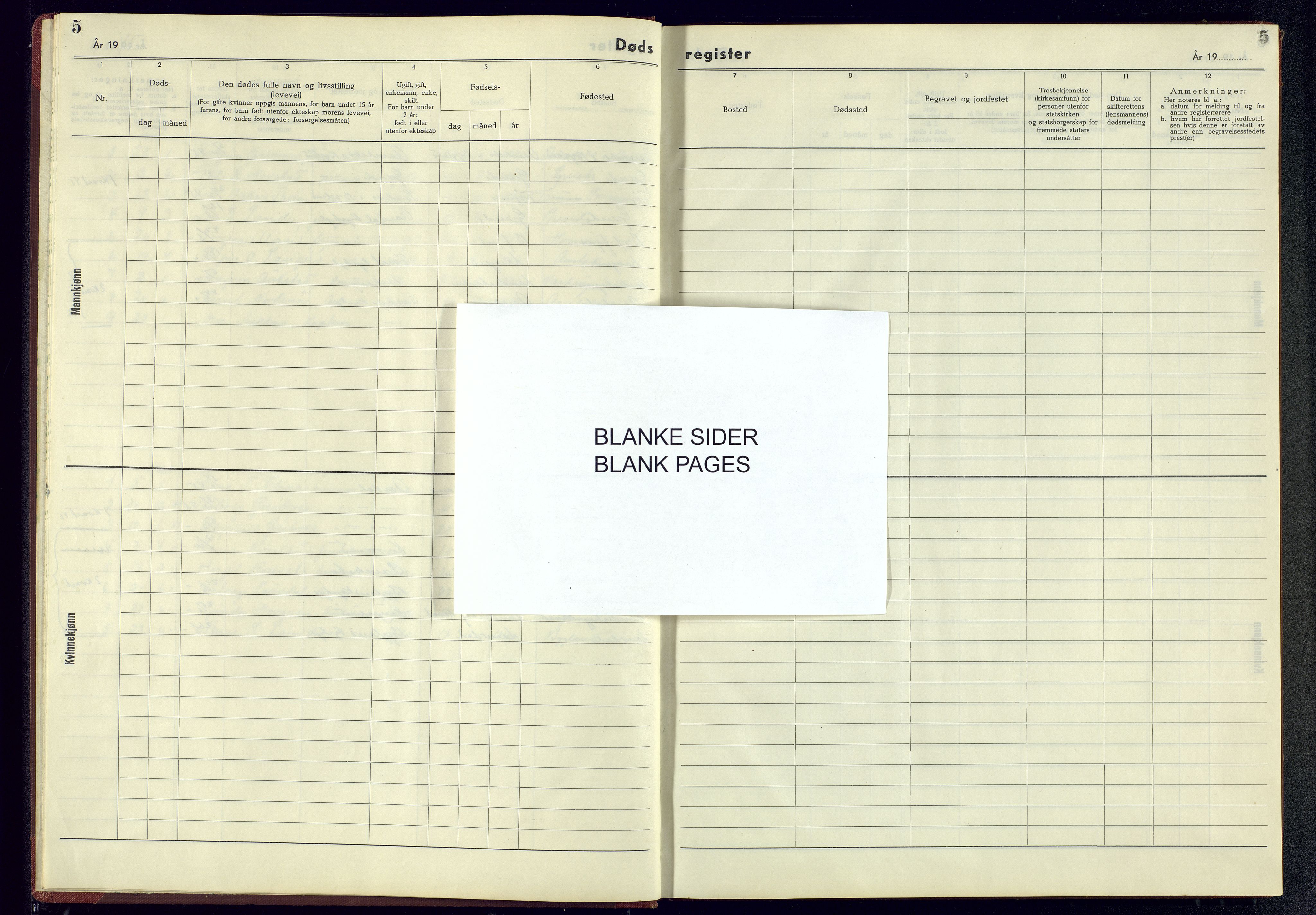 Bygland sokneprestkontor, AV/SAK-1111-0006/J/Jb/L0003: II.6.3 - Dødsfallsregister Bygland, 1942-1945, p. 5