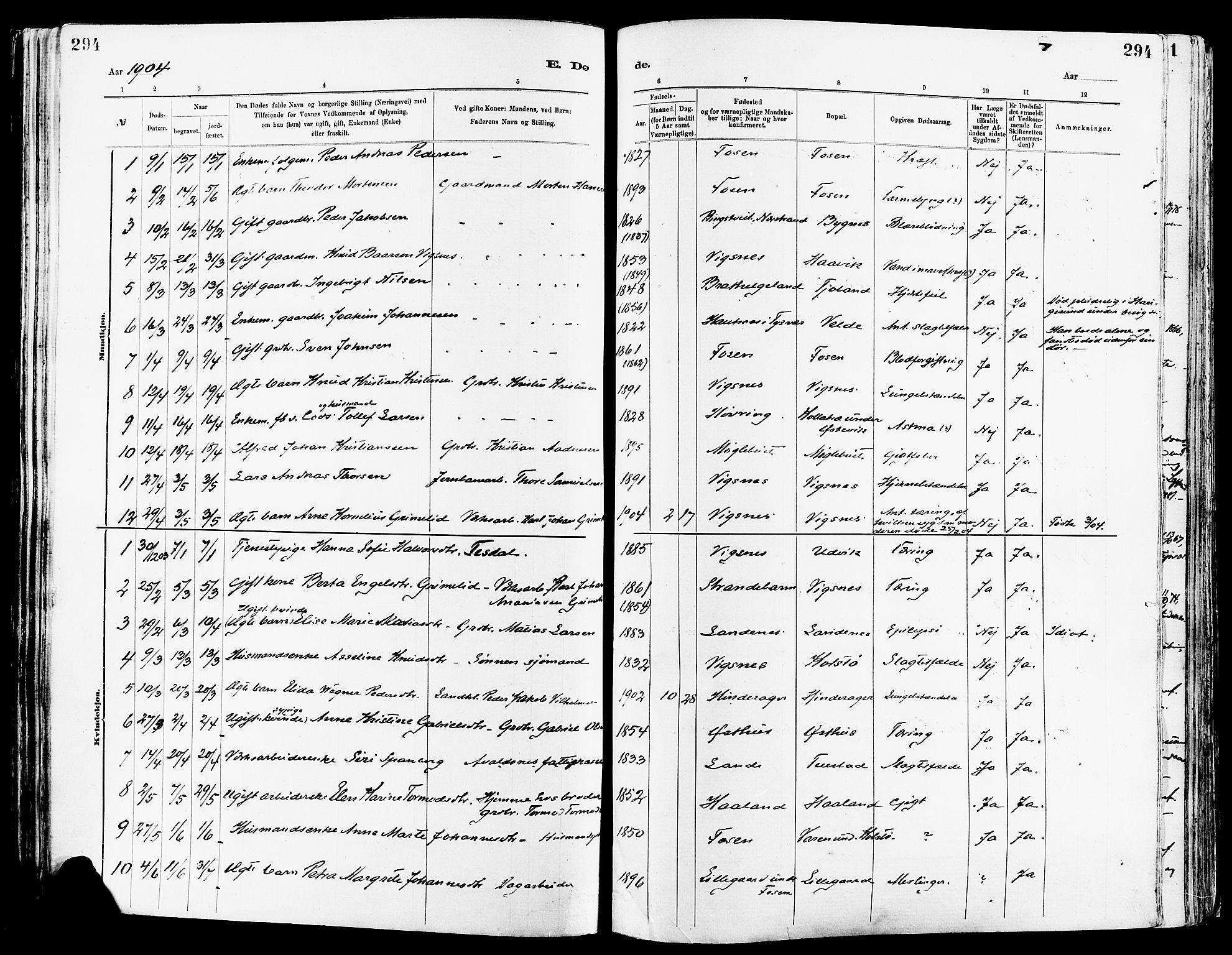 Avaldsnes sokneprestkontor, AV/SAST-A -101851/H/Ha/Haa/L0015: Parish register (official) no. A 15, 1880-1906, p. 294