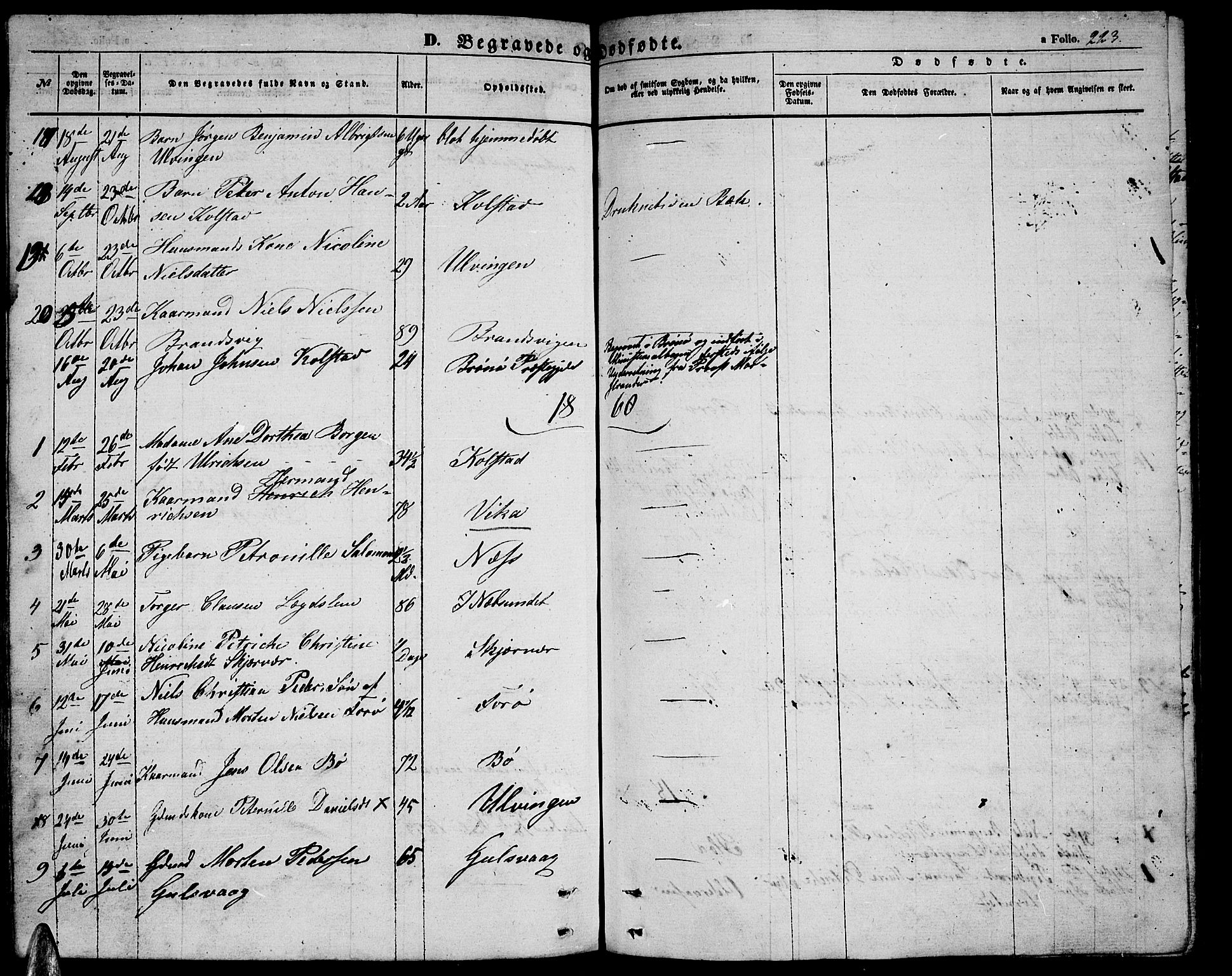 Ministerialprotokoller, klokkerbøker og fødselsregistre - Nordland, SAT/A-1459/816/L0251: Parish register (copy) no. 816C01, 1852-1870, p. 223