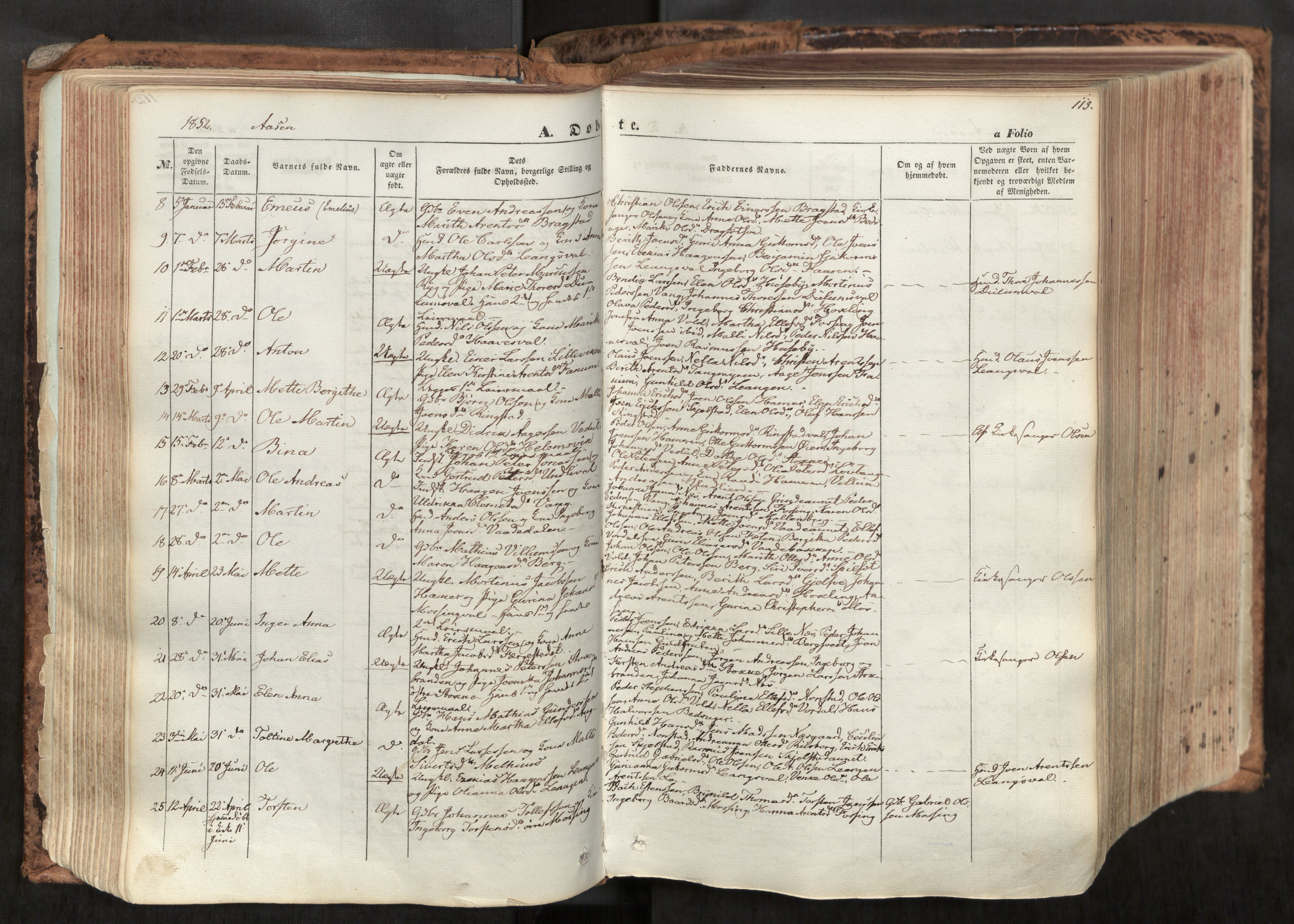 Ministerialprotokoller, klokkerbøker og fødselsregistre - Nord-Trøndelag, SAT/A-1458/713/L0116: Parish register (official) no. 713A07, 1850-1877, p. 113