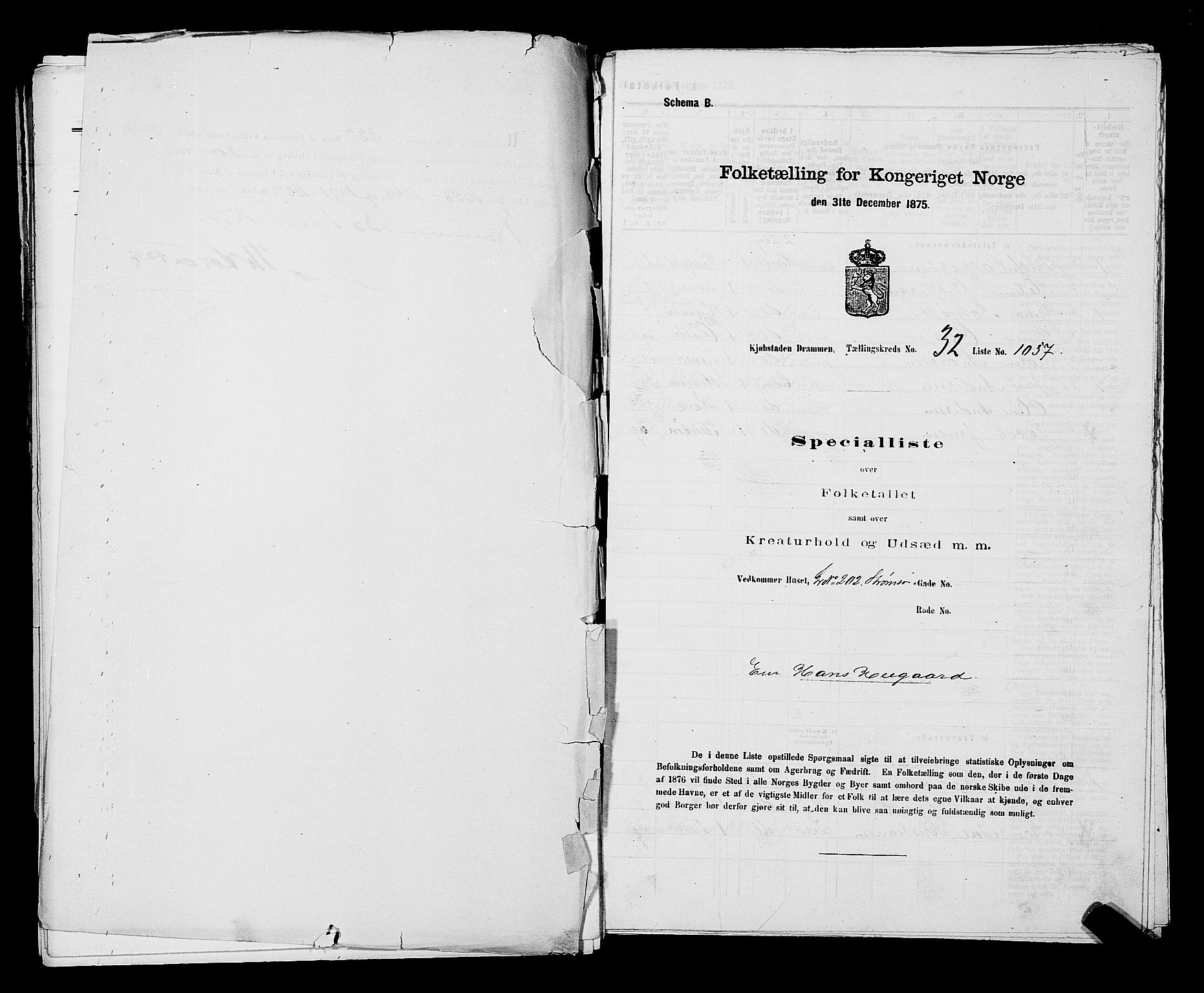 SAKO, 1875 census for 0602 Drammen, 1875, p. 2907