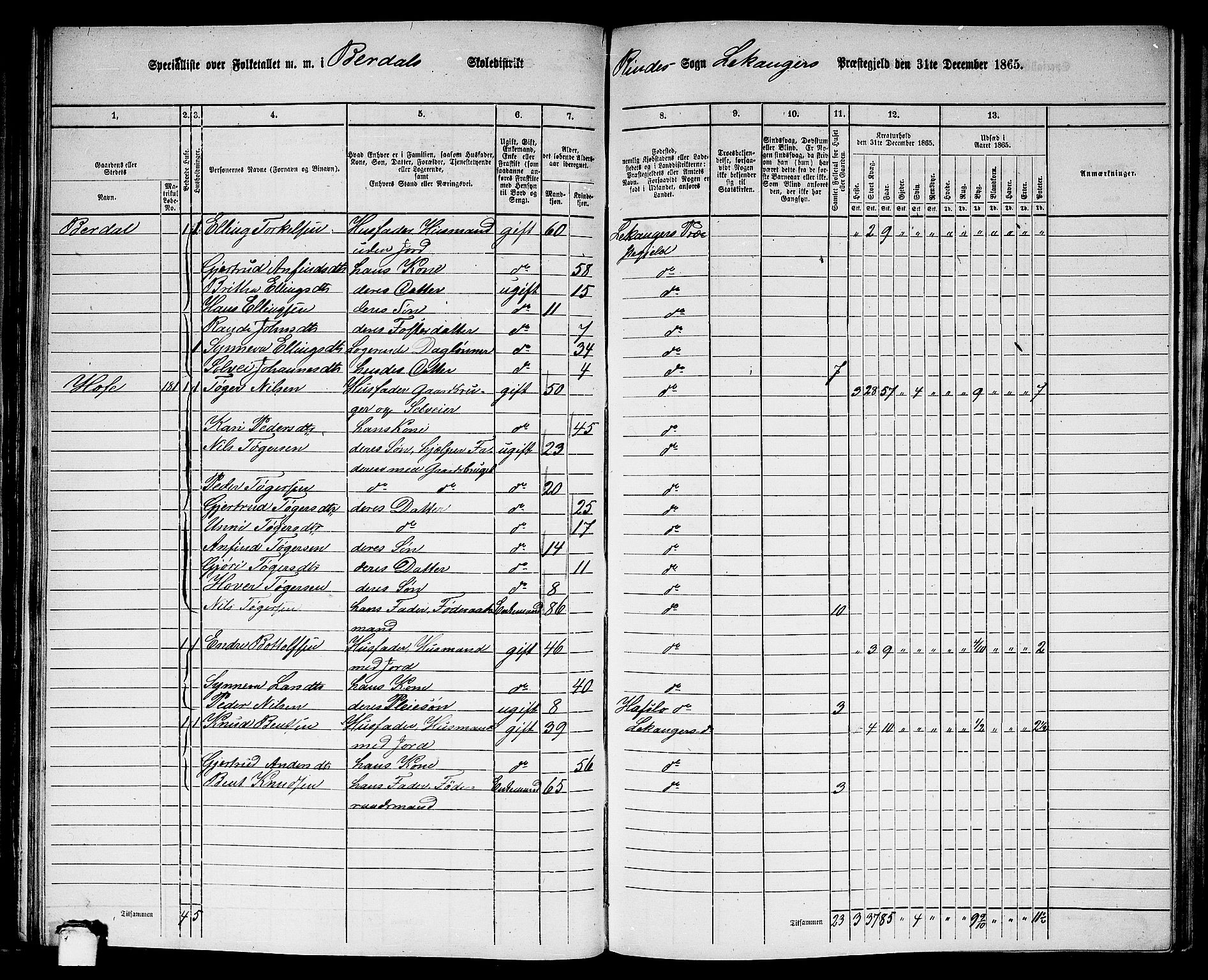 RA, 1865 census for Leikanger, 1865, p. 71