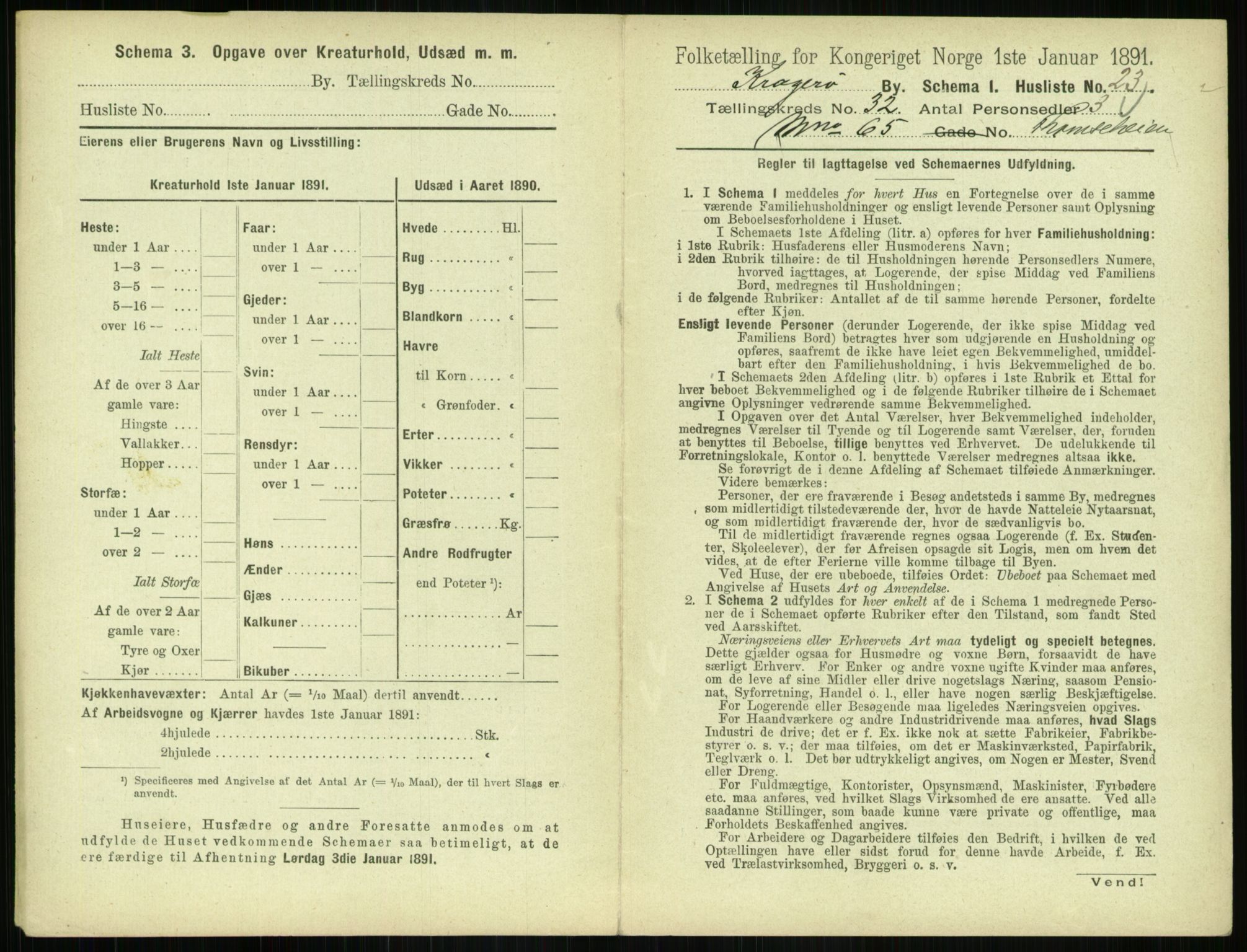 RA, 1891 census for 0801 Kragerø, 1891, p. 1186