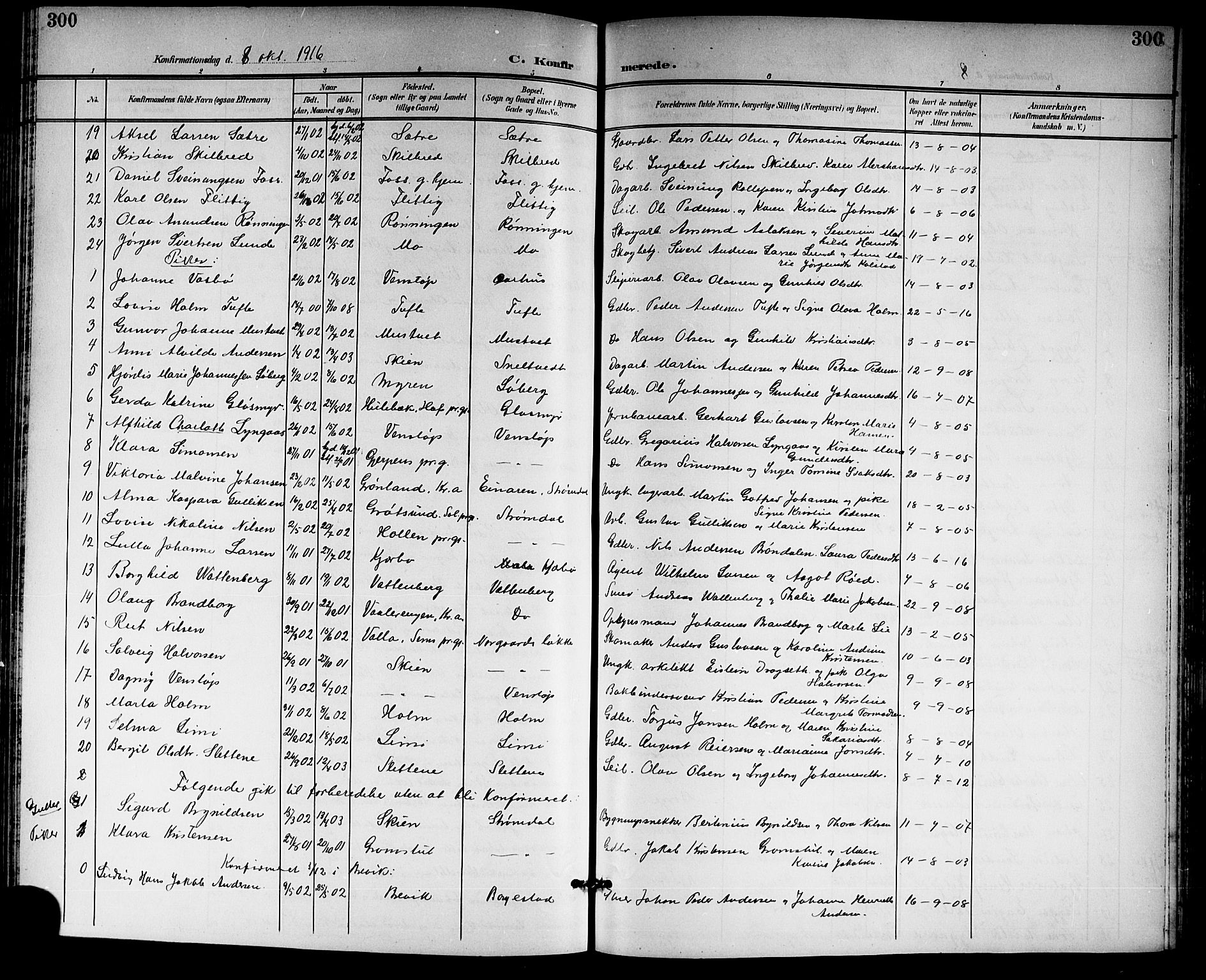 Gjerpen kirkebøker, SAKO/A-265/G/Ga/L0003: Parish register (copy) no. I 3, 1901-1919, p. 300