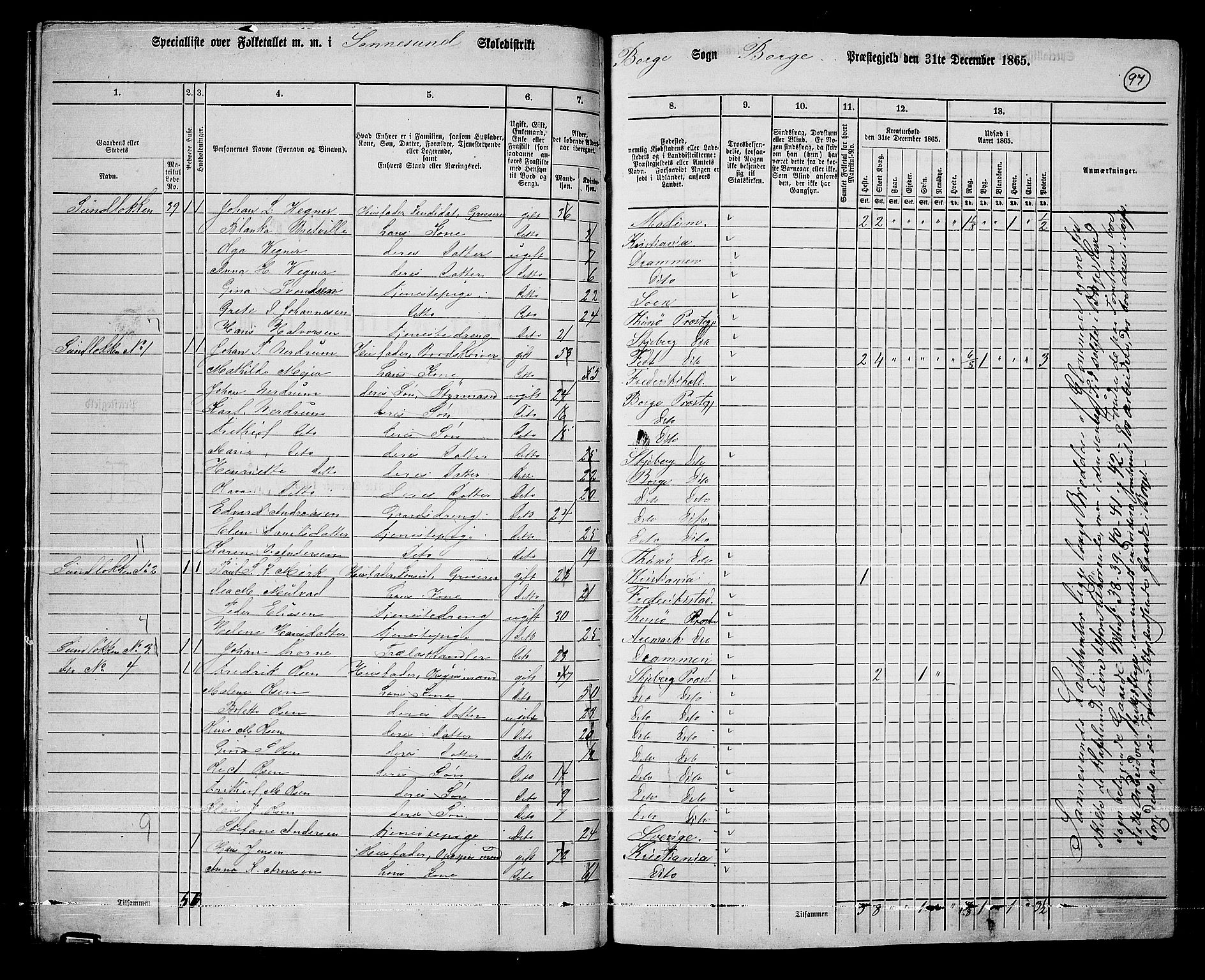 RA, 1865 census for Borge, 1865, p. 91