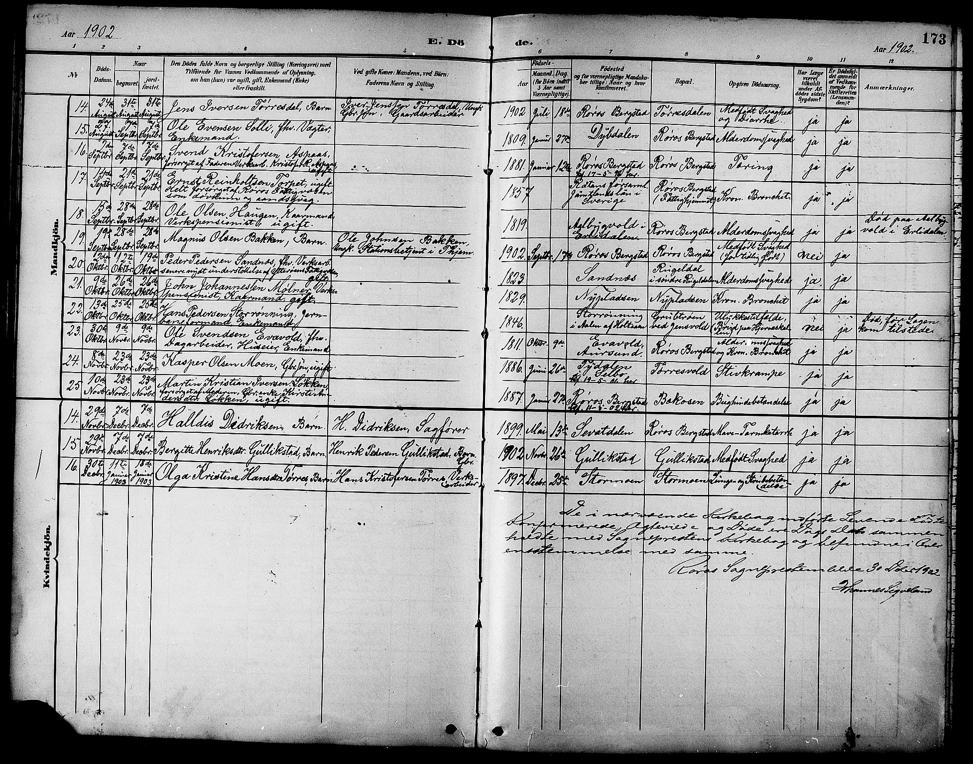 Ministerialprotokoller, klokkerbøker og fødselsregistre - Sør-Trøndelag, SAT/A-1456/681/L0941: Parish register (copy) no. 681C05, 1896-1905, p. 173