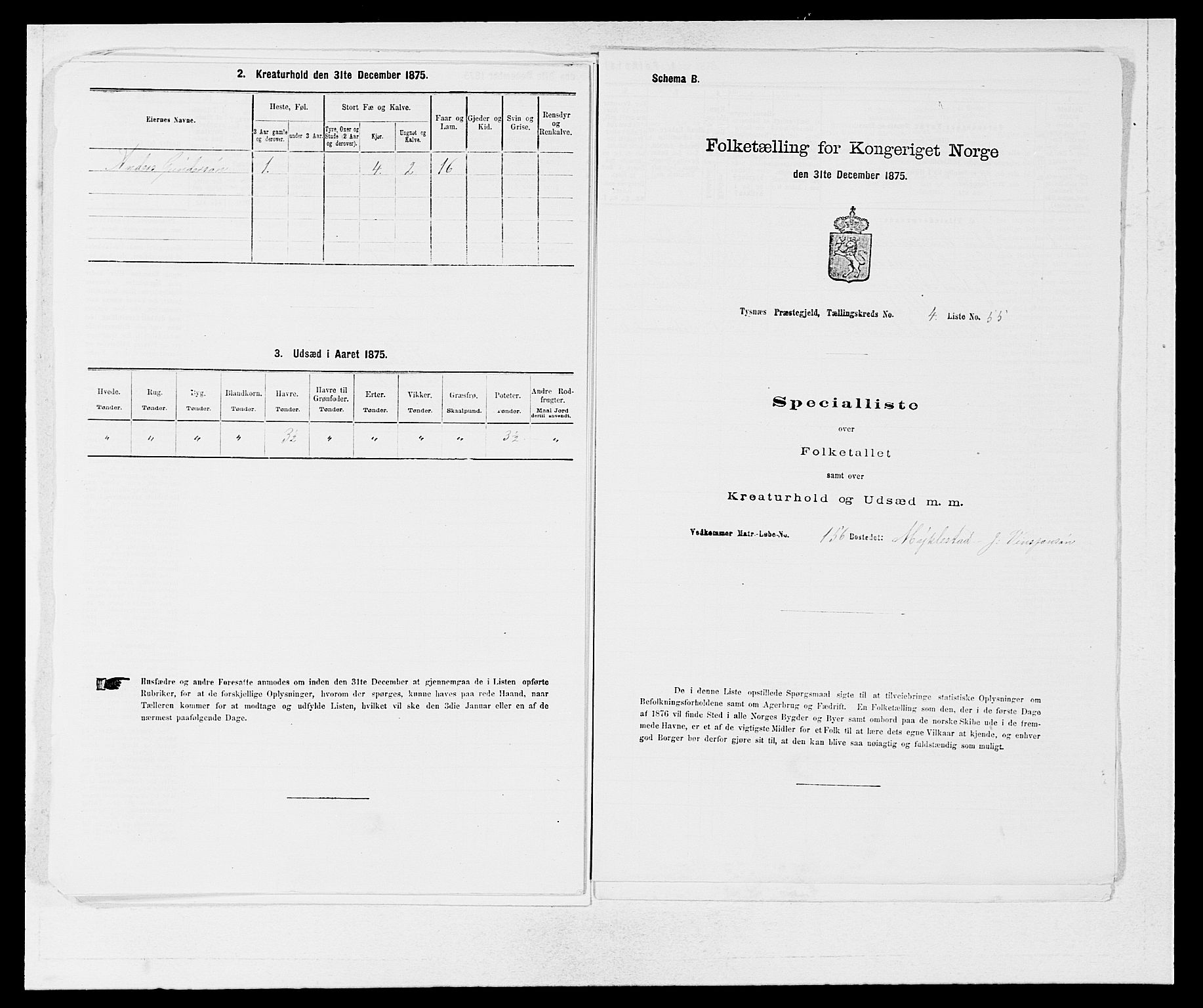 SAB, 1875 census for 1223P Tysnes, 1875, p. 538