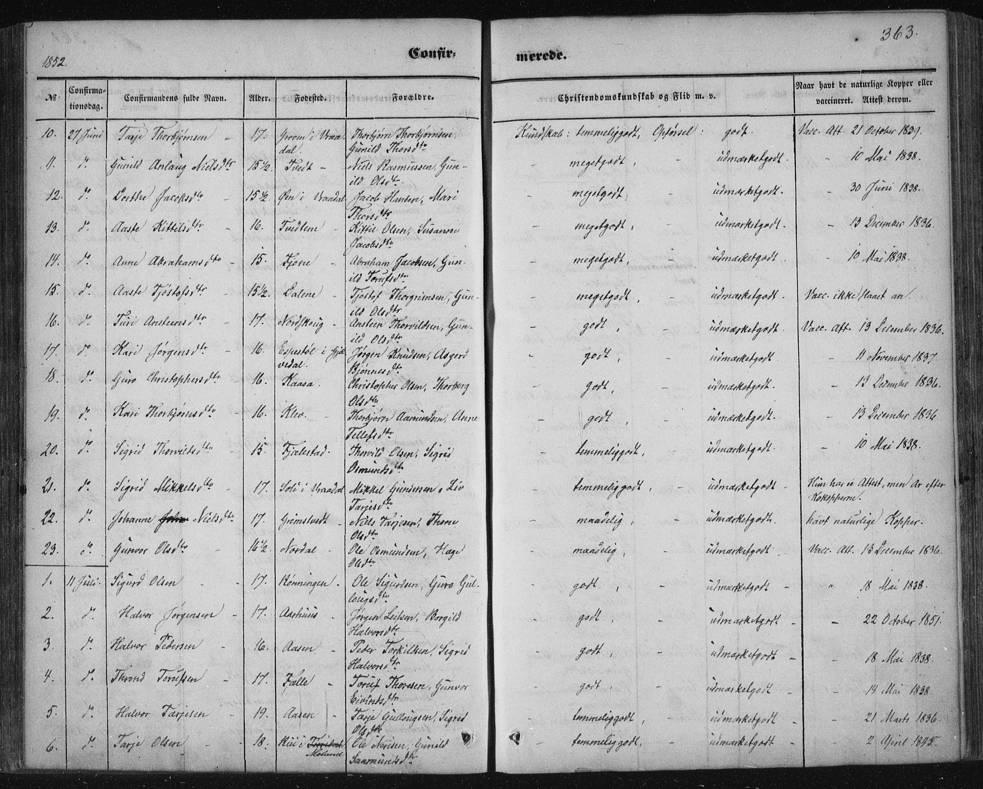 Nissedal kirkebøker, SAKO/A-288/F/Fa/L0003: Parish register (official) no. I 3, 1846-1870, p. 362-363
