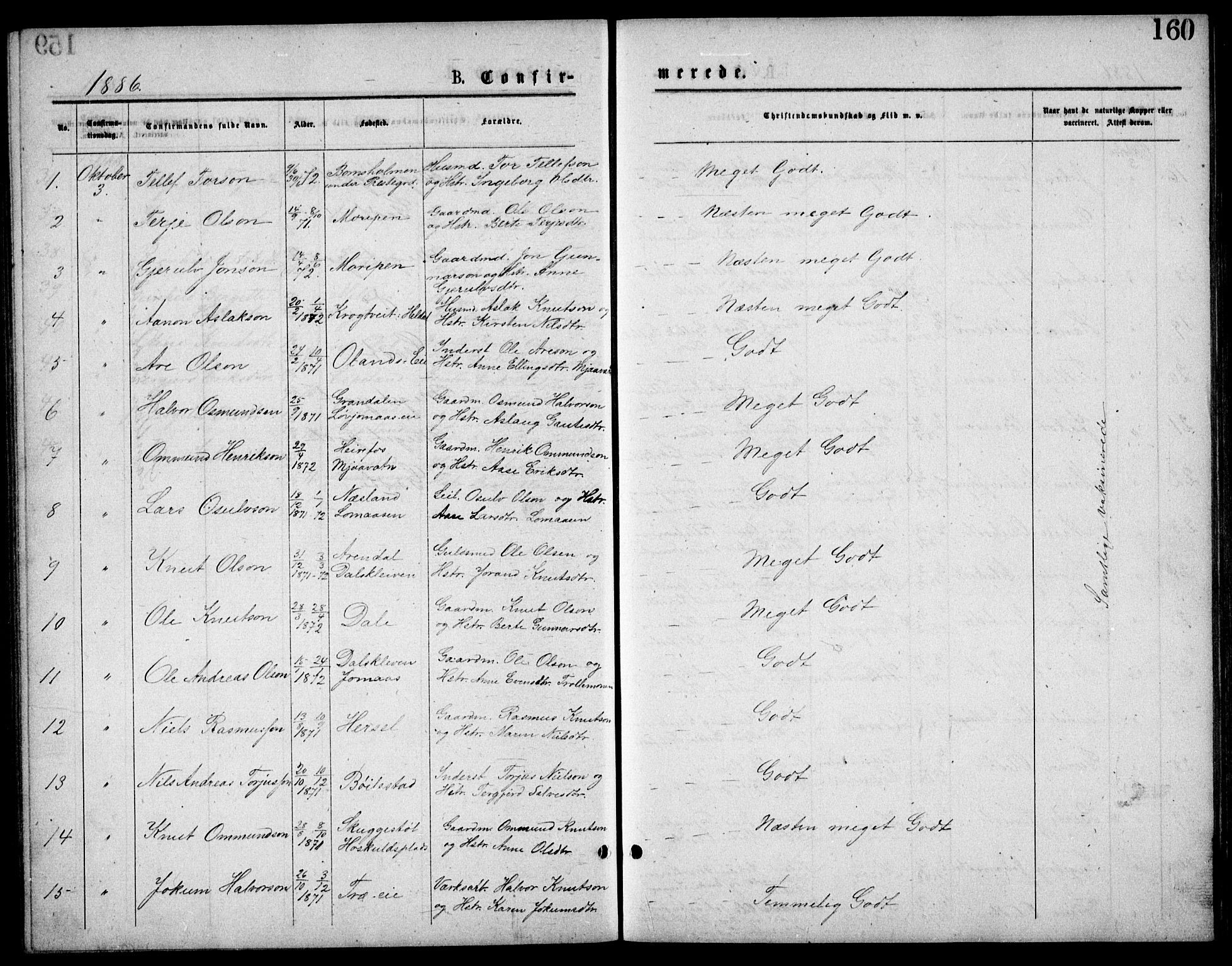 Froland sokneprestkontor, AV/SAK-1111-0013/F/Fb/L0009: Parish register (copy) no. B 9, 1875-1893, p. 160