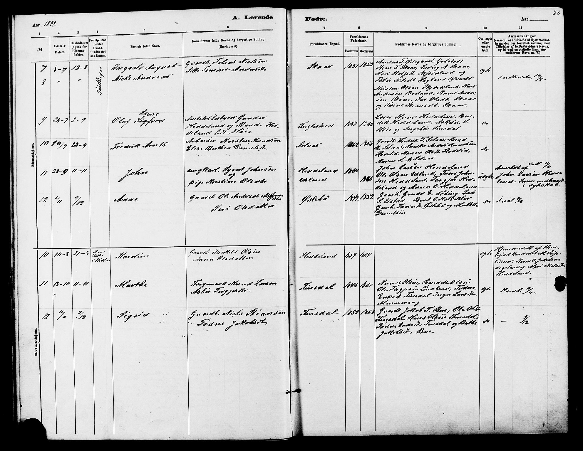 Holum sokneprestkontor, AV/SAK-1111-0022/F/Fb/Fbc/L0003: Parish register (copy) no. B 3, 1882-1908, p. 22