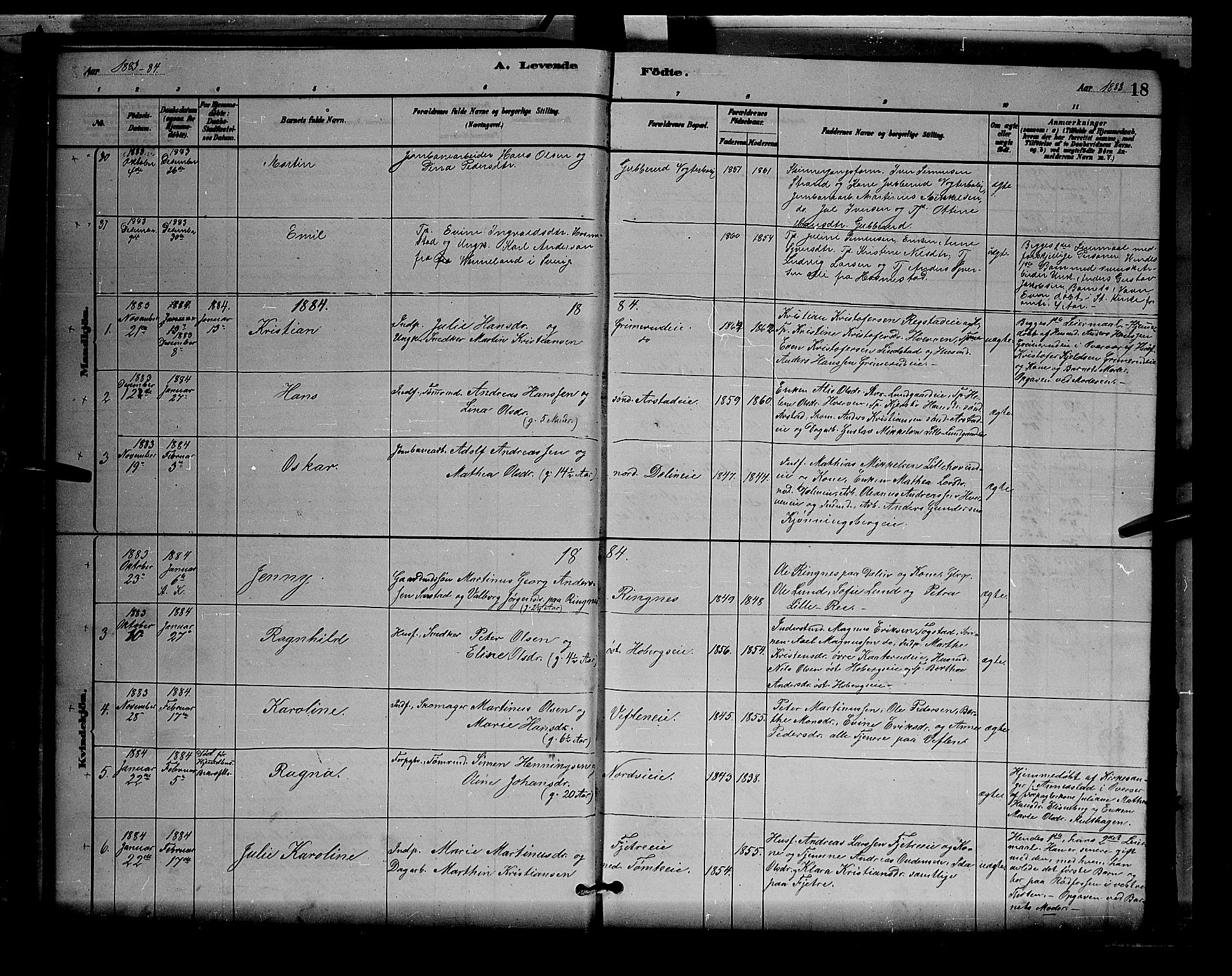 Stange prestekontor, AV/SAH-PREST-002/L/L0007: Parish register (copy) no. 7, 1880-1893, p. 18