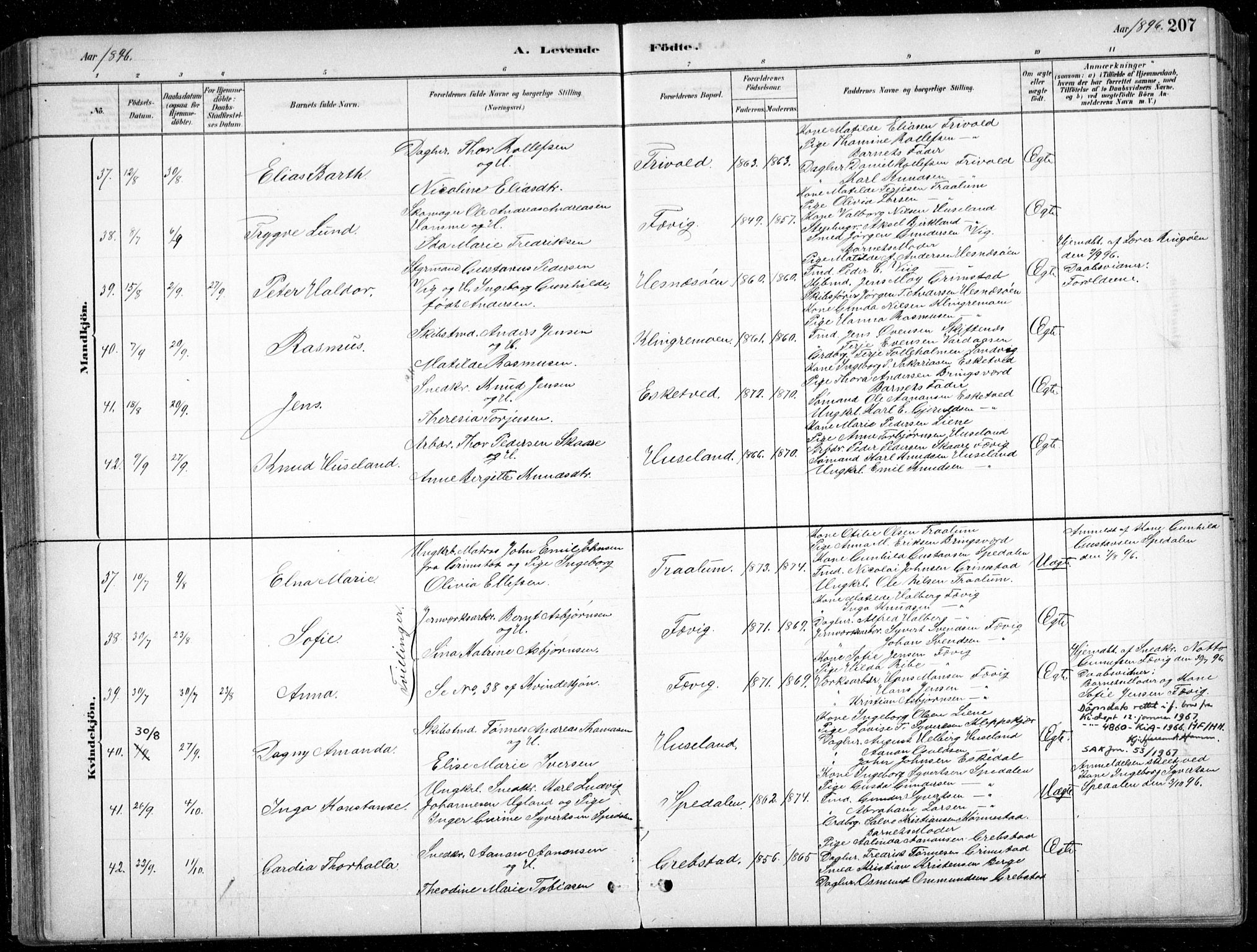 Fjære sokneprestkontor, SAK/1111-0011/F/Fb/L0011: Parish register (copy) no. B 11, 1881-1905, p. 207