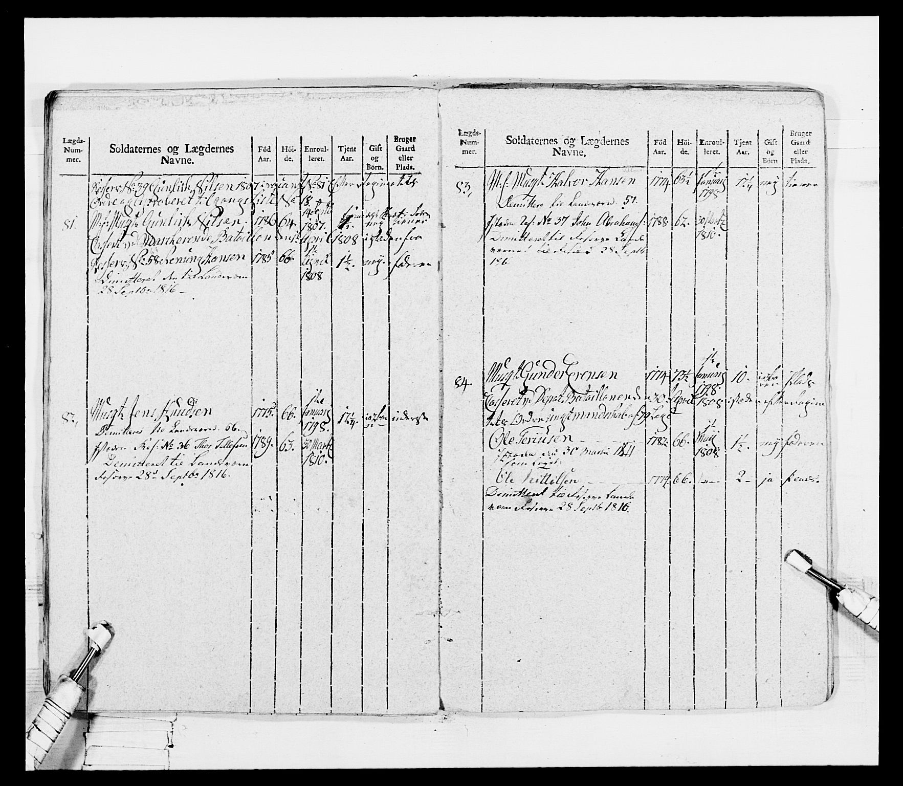 Generalitets- og kommissariatskollegiet, Det kongelige norske kommissariatskollegium, AV/RA-EA-5420/E/Eh/L0116: Telemarkske nasjonale infanteriregiment, 1810, p. 176