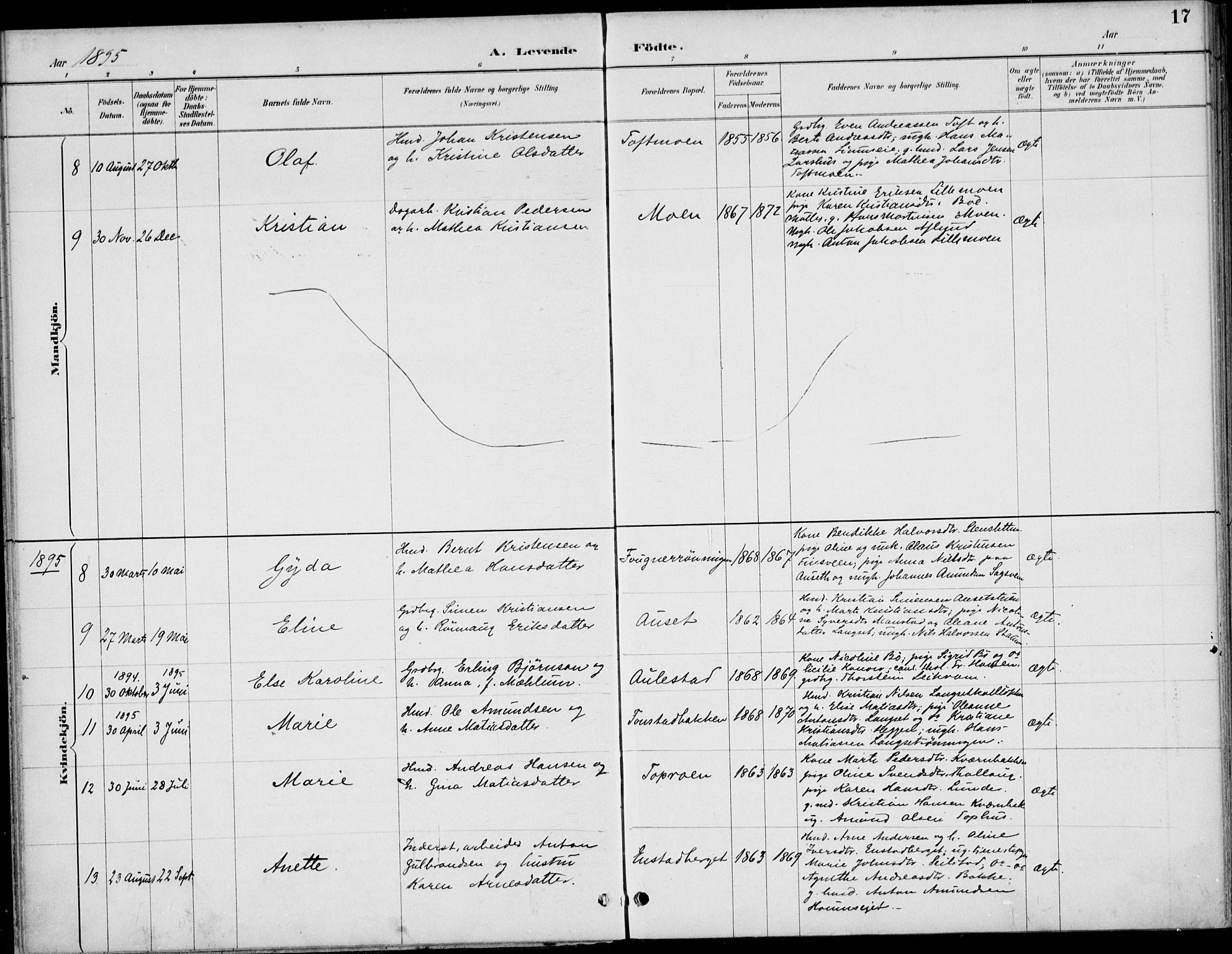 Østre Gausdal prestekontor, SAH/PREST-092/H/Ha/Haa/L0003: Parish register (official) no. 3, 1887-1901, p. 17