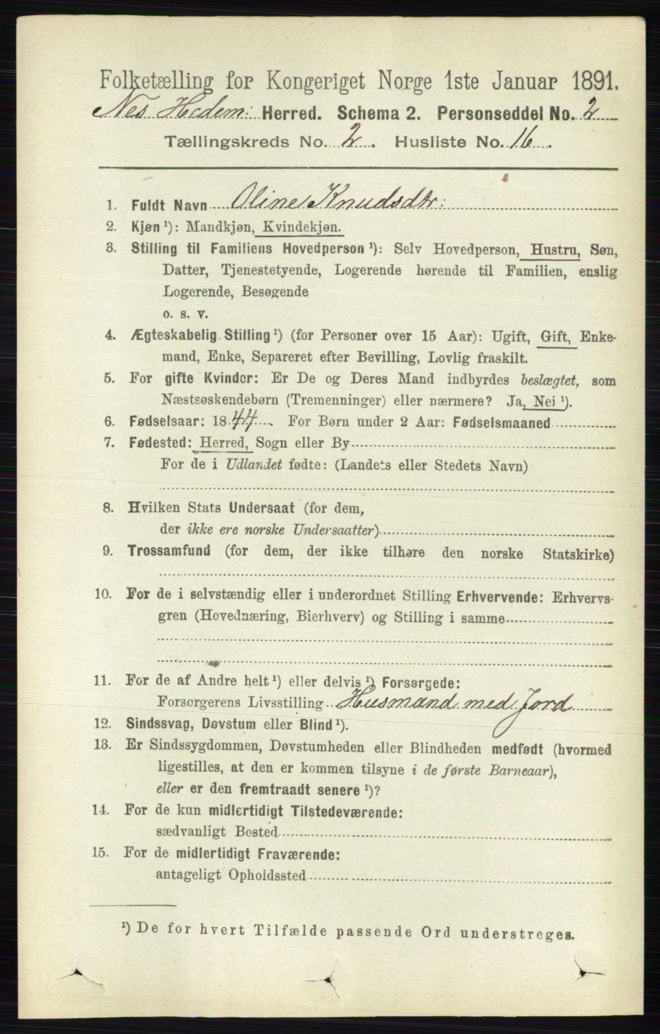 RA, 1891 census for 0411 Nes, 1891, p. 1167
