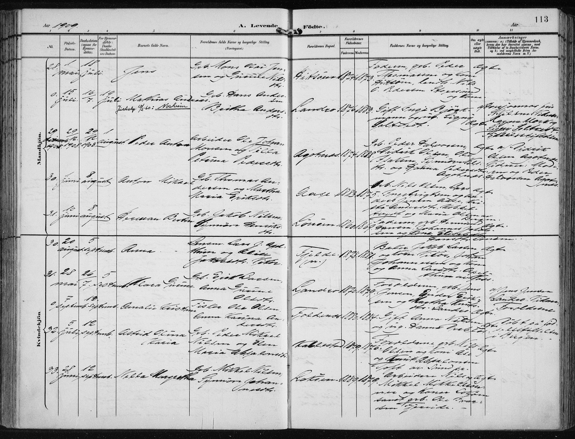 Fjell sokneprestembete, SAB/A-75301/H/Haa: Parish register (official) no. A  9, 1899-1910, p. 113