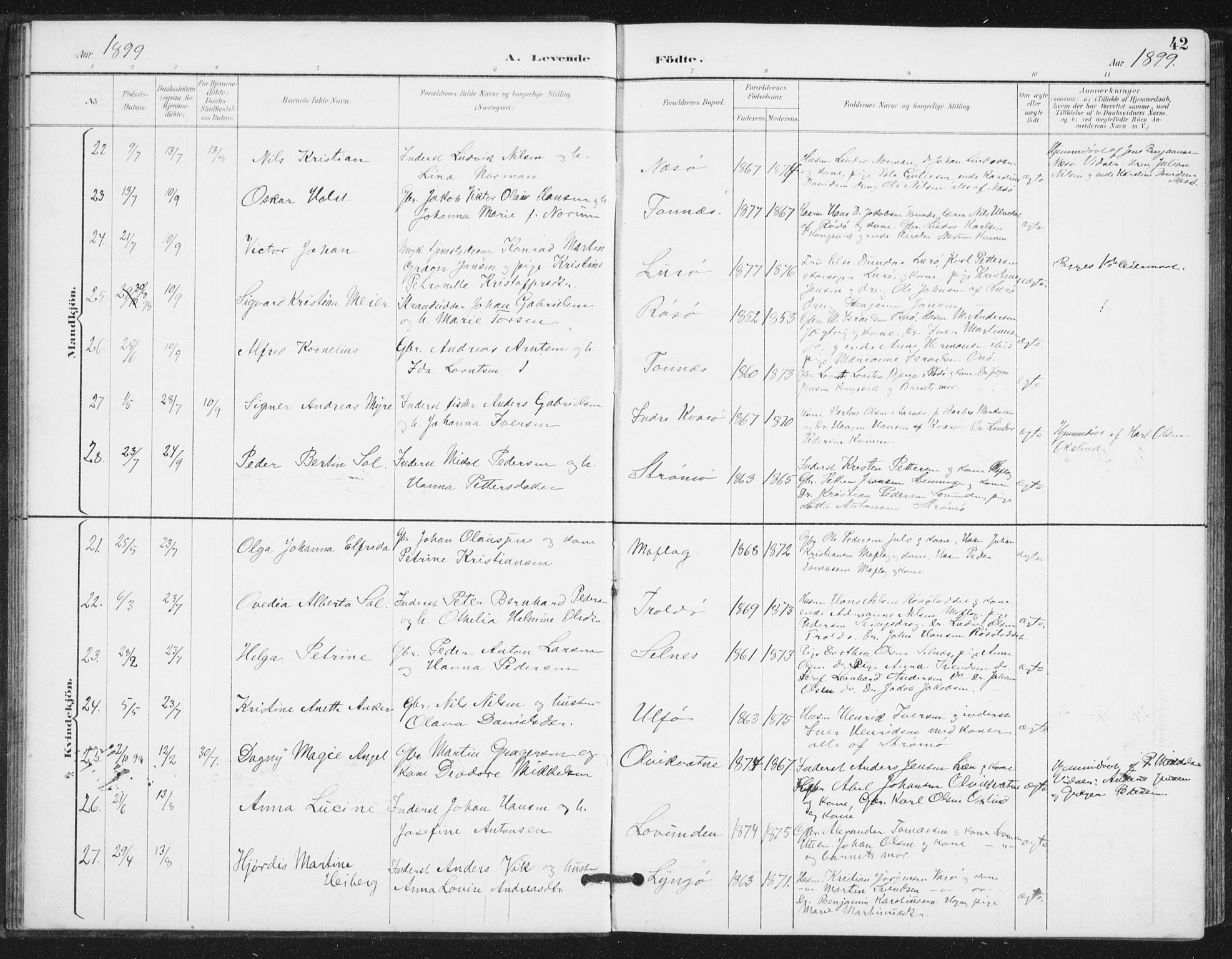 Ministerialprotokoller, klokkerbøker og fødselsregistre - Nordland, AV/SAT-A-1459/839/L0573: Parish register (copy) no. 839C03, 1892-1917, p. 42