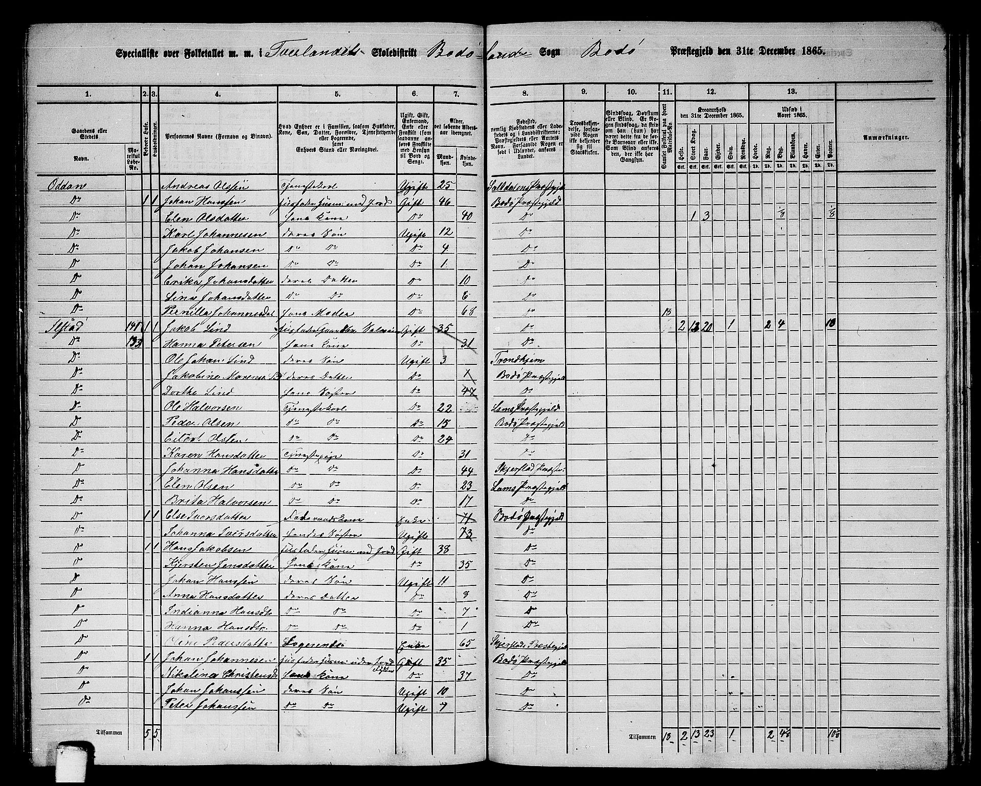 RA, 1865 census for Bodø/Bodø, 1865, p. 82