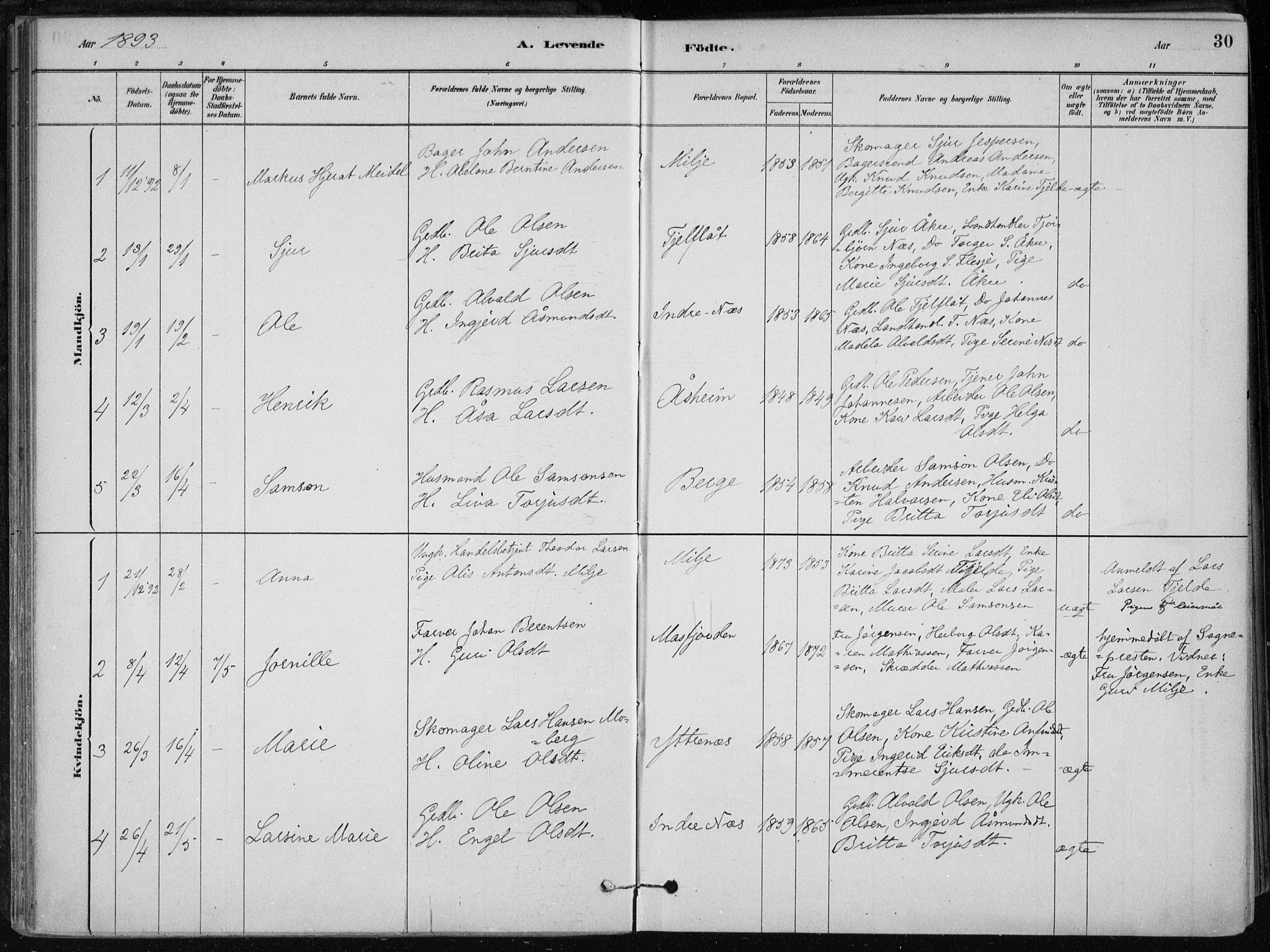 Skånevik sokneprestembete, AV/SAB-A-77801/H/Haa: Parish register (official) no. B 1, 1879-1914, p. 30