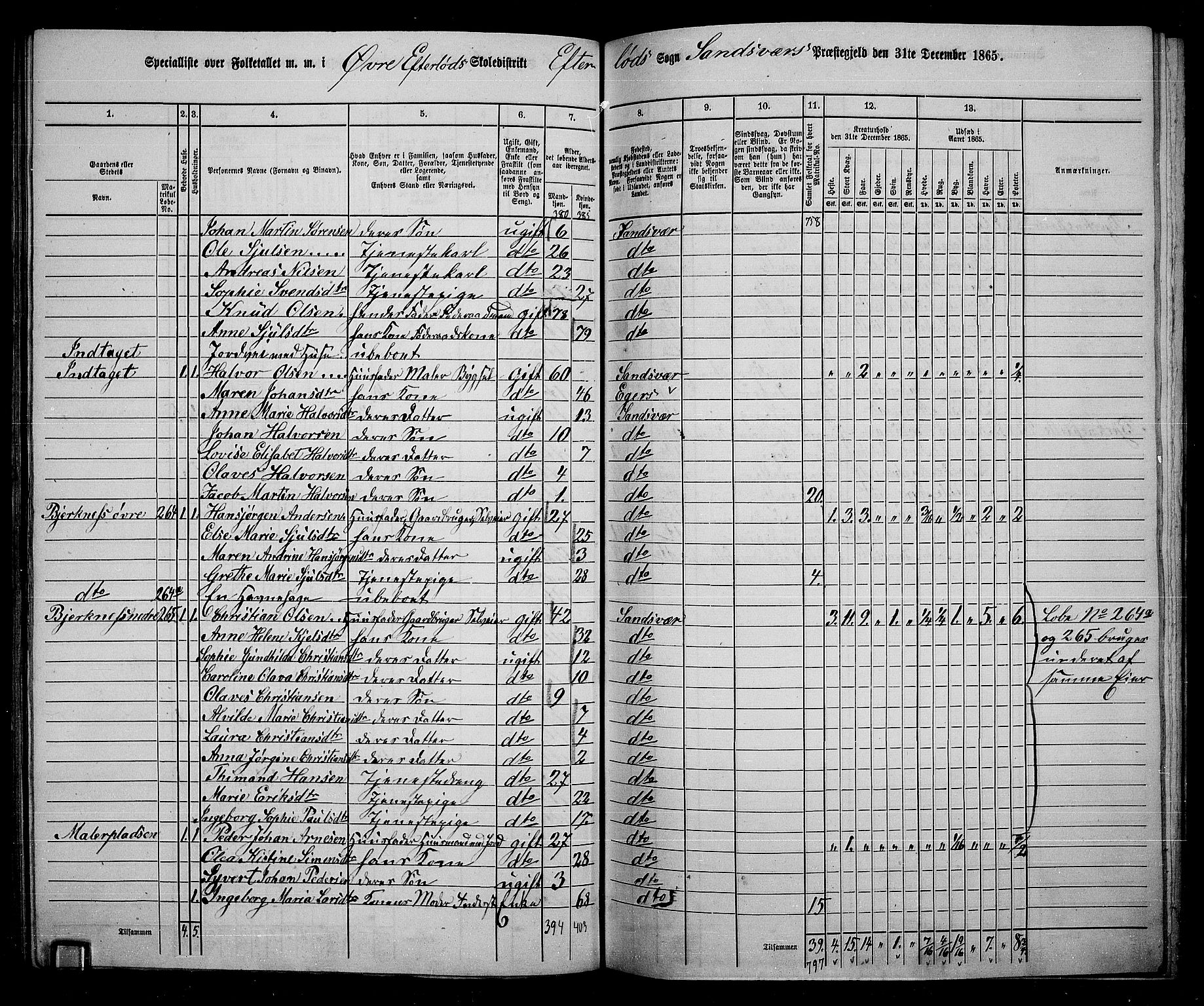 RA, 1865 census for Sandsvær, 1865, p. 116