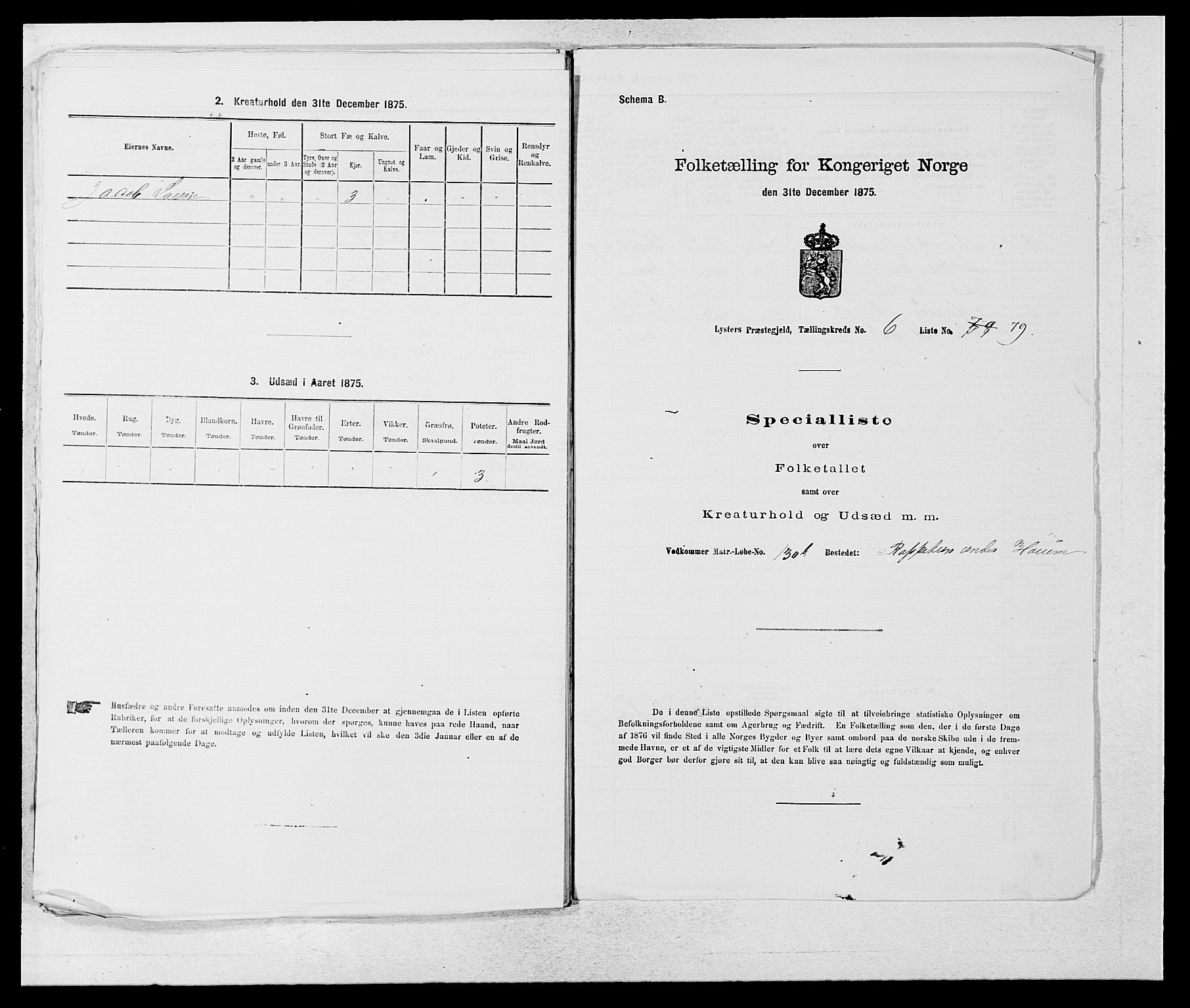 SAB, 1875 census for 1426P Luster, 1875, p. 1093