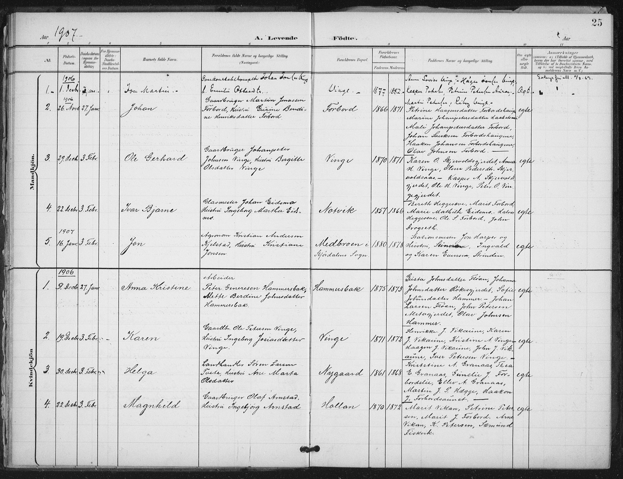 Ministerialprotokoller, klokkerbøker og fødselsregistre - Nord-Trøndelag, SAT/A-1458/712/L0101: Parish register (official) no. 712A02, 1901-1916, p. 25