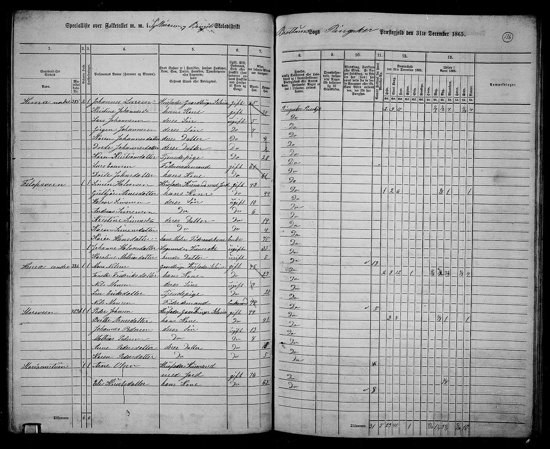 RA, 1865 census for Ringsaker, 1865, p. 379