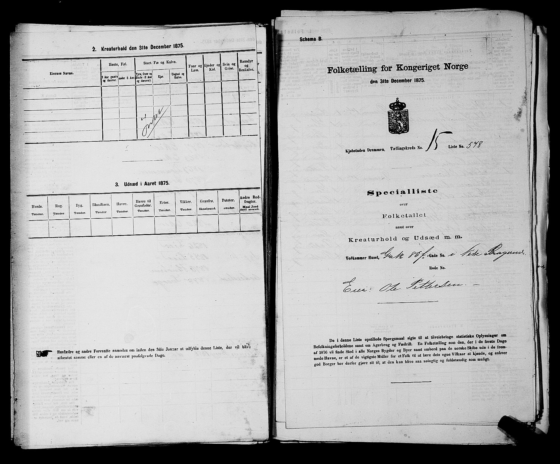 SAKO, 1875 census for 0602 Drammen, 1875, p. 1707