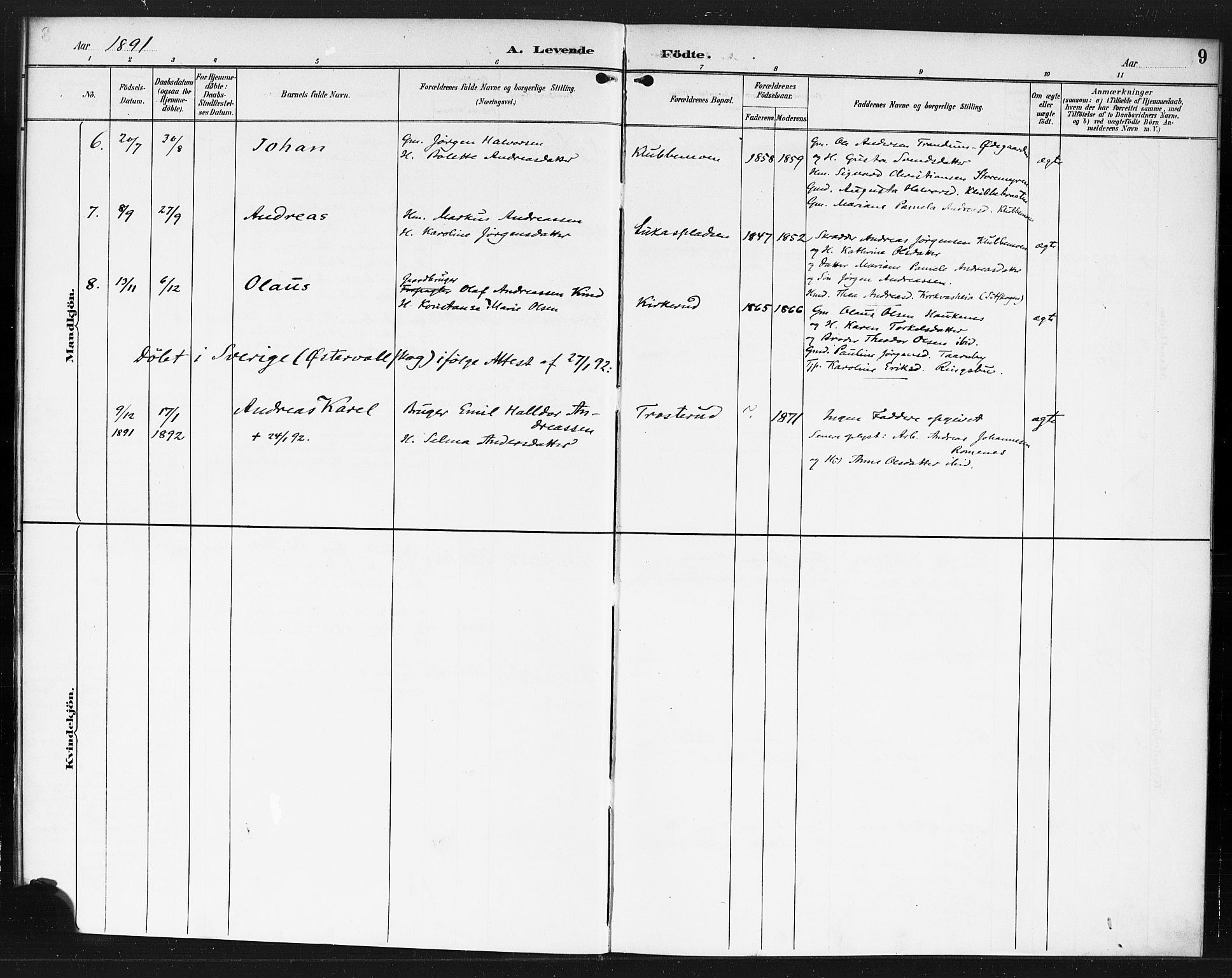 Rødenes prestekontor Kirkebøker, AV/SAO-A-2005/F/Fb/L0002: Parish register (official) no. II 2, 1890-1900, p. 9