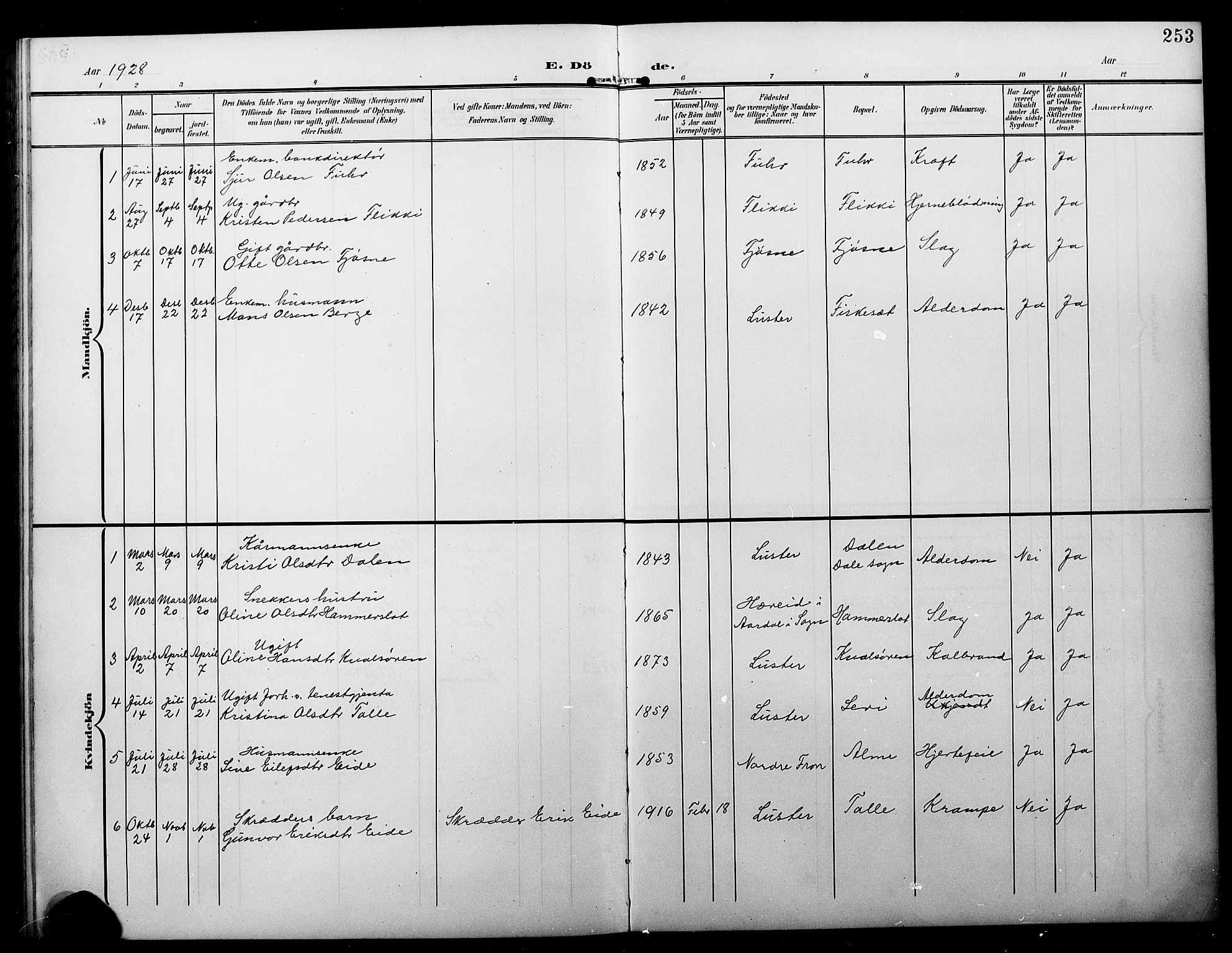 Luster sokneprestembete, SAB/A-81101/H/Hab/Haba/L0001: Parish register (copy) no. A 1, 1903-1930, p. 253