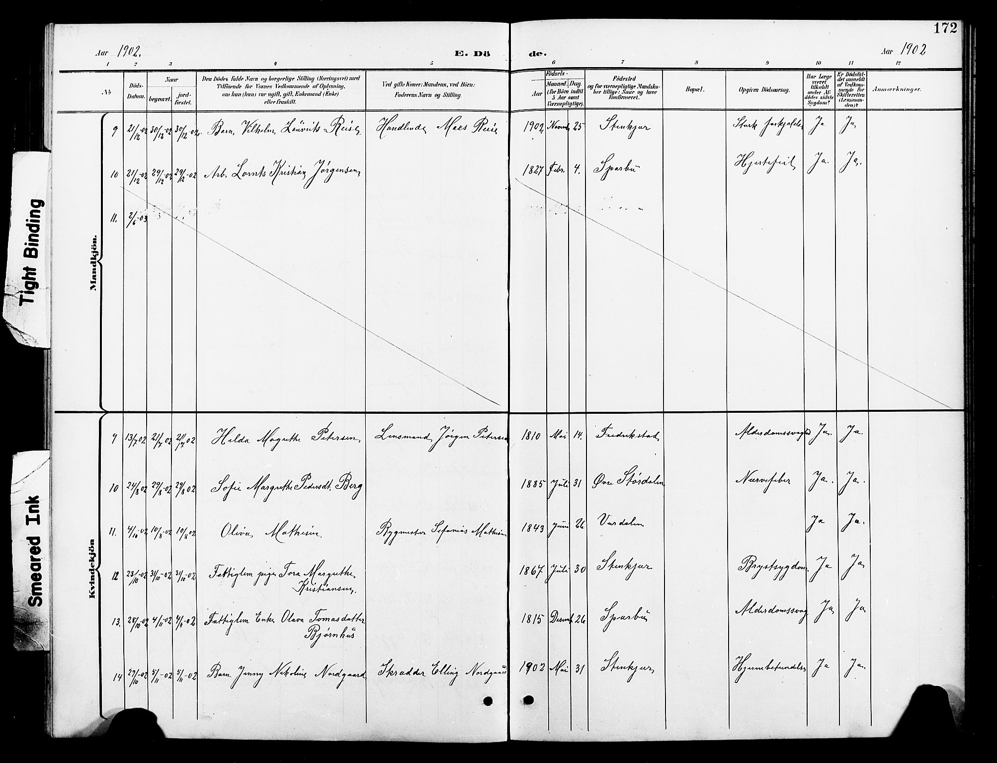 Ministerialprotokoller, klokkerbøker og fødselsregistre - Nord-Trøndelag, AV/SAT-A-1458/739/L0375: Parish register (copy) no. 739C03, 1898-1908, p. 172