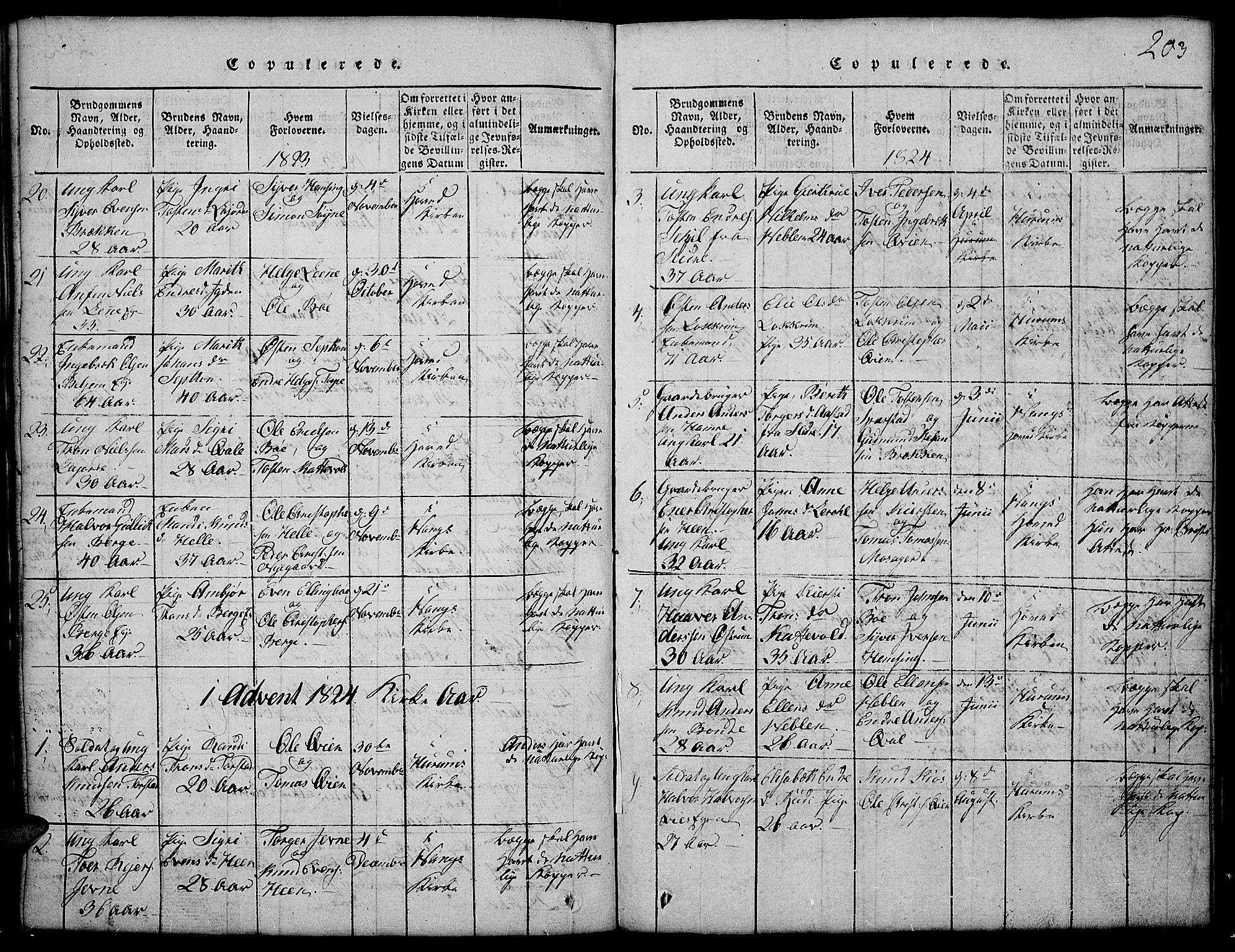 Vang prestekontor, Valdres, SAH/PREST-140/H/Hb/L0002: Parish register (copy) no. 2, 1814-1889, p. 203